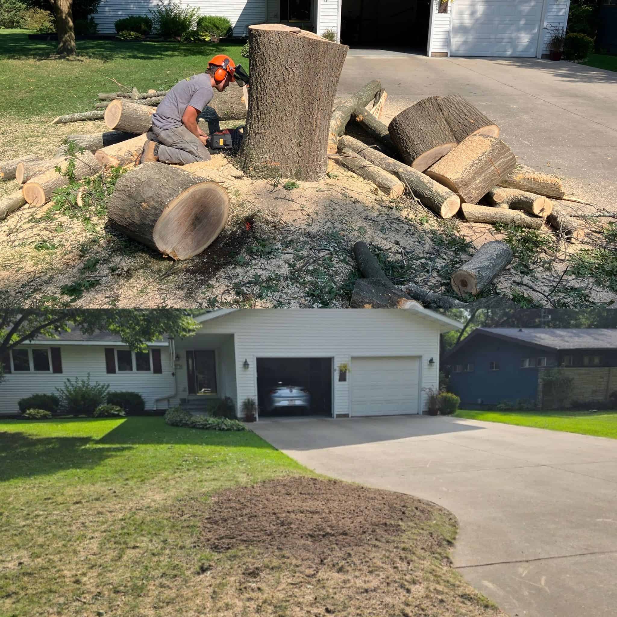 Stump Griding image