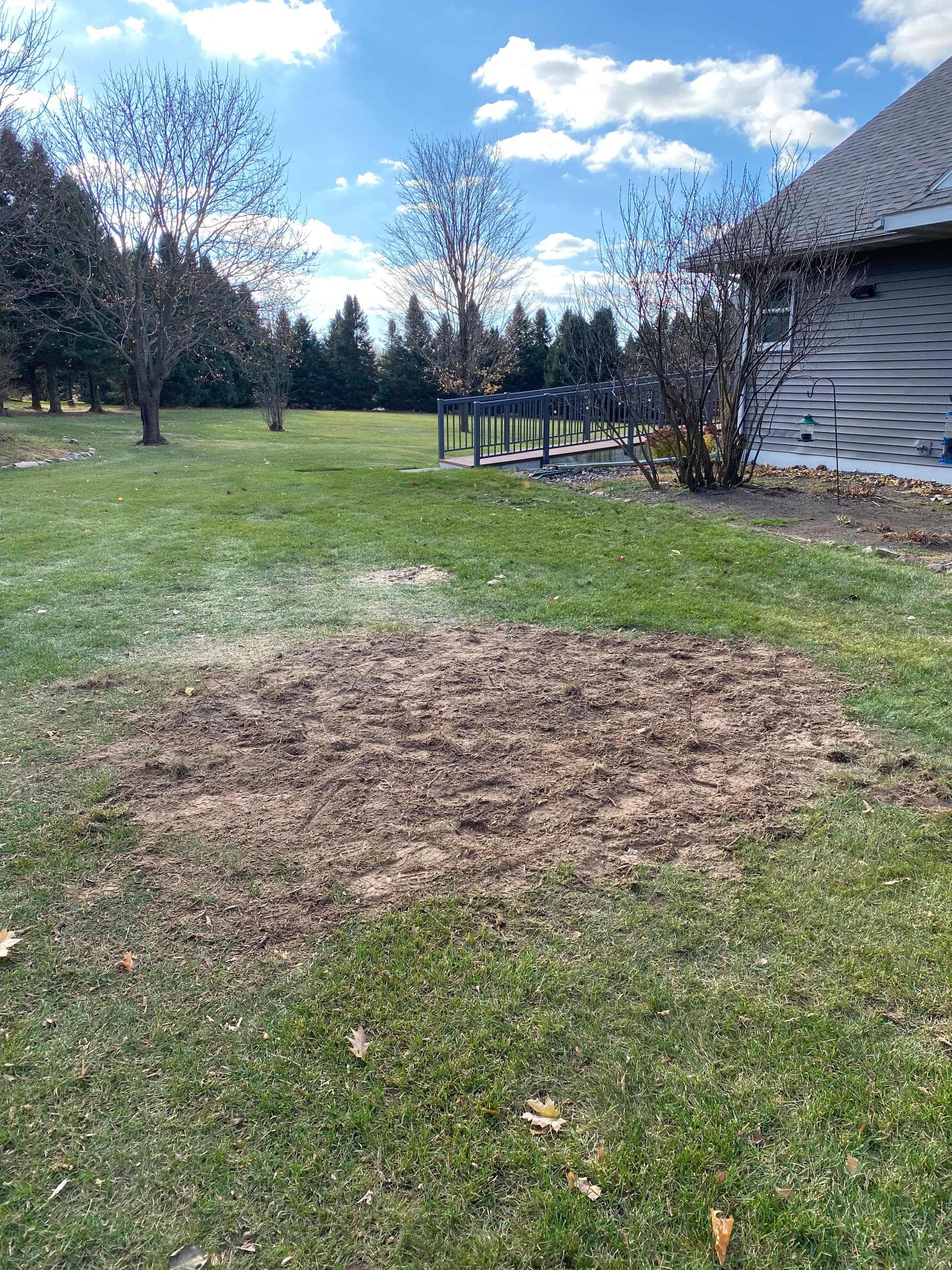 Gallery photos for Efficient Tree and Stump Removal in Your Neighborhood: Image #3