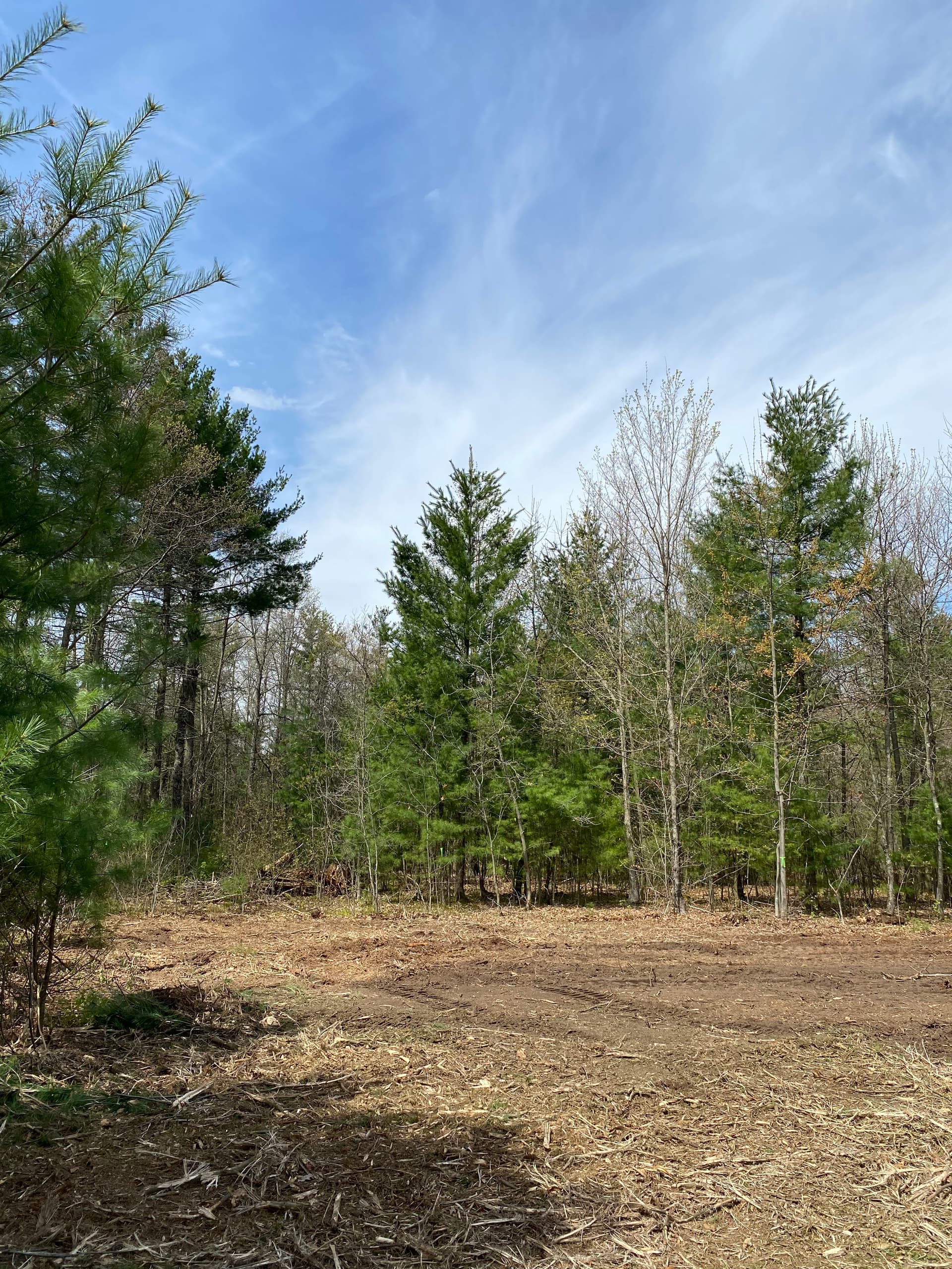 Gallery photos for Land Clearing Opens Up Mosinee Sailboat Yard for Future Development: Image #5