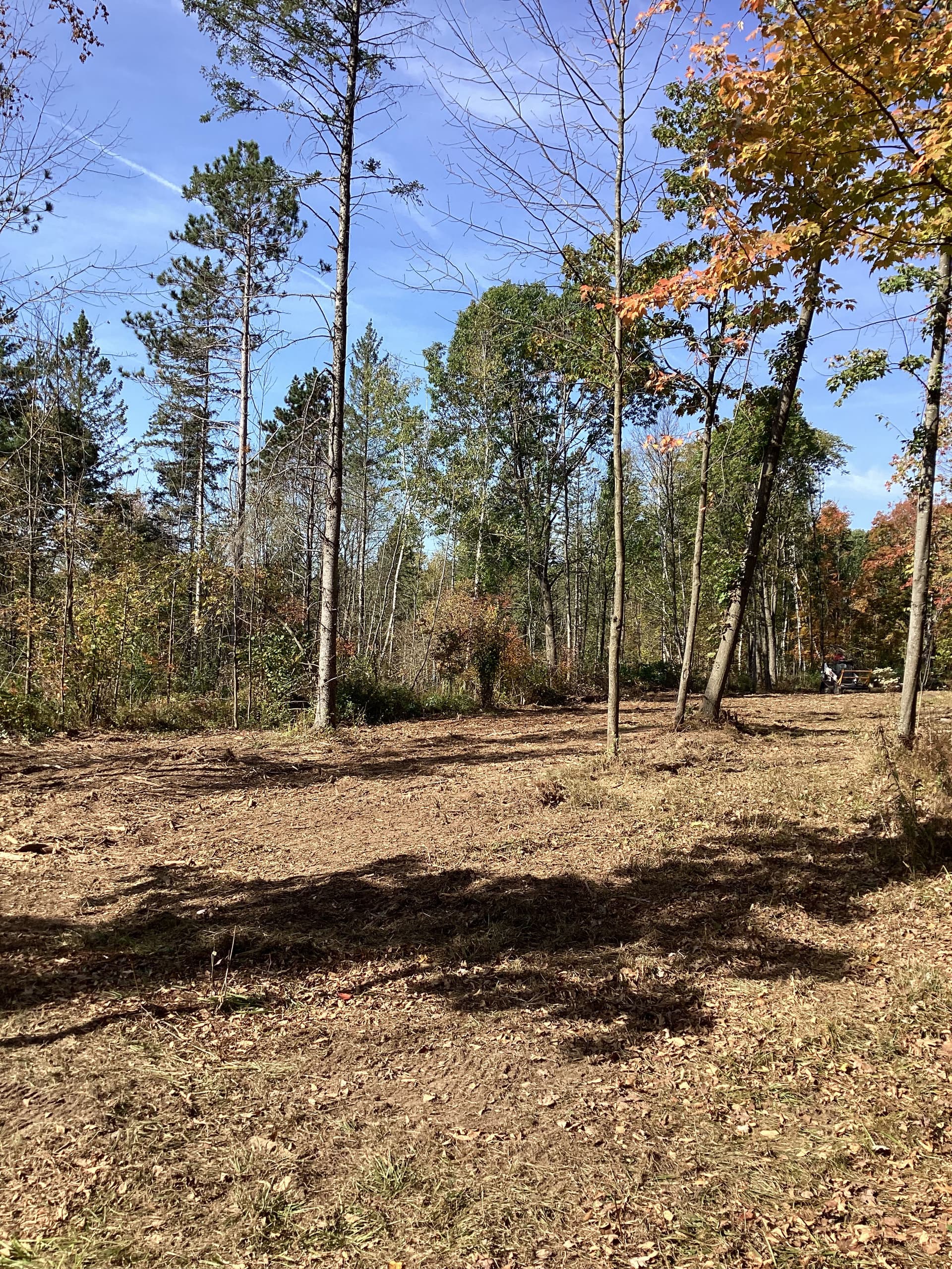 Gallery photos for Clearing Paths and Maintaining Land in Merrill: Image #1