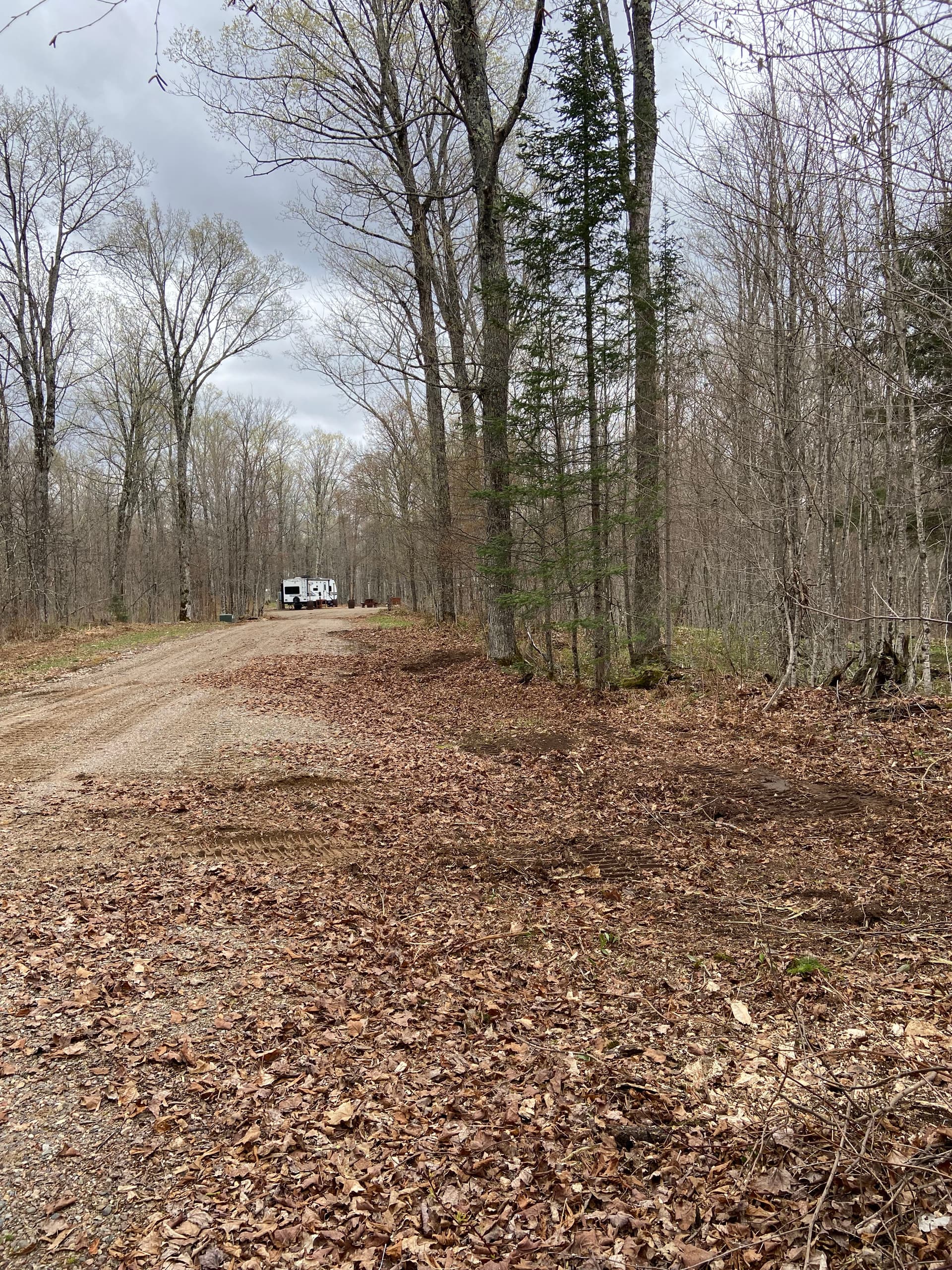 Gallery photos for Food Plot and Access Clearing in Gleason: Image #5