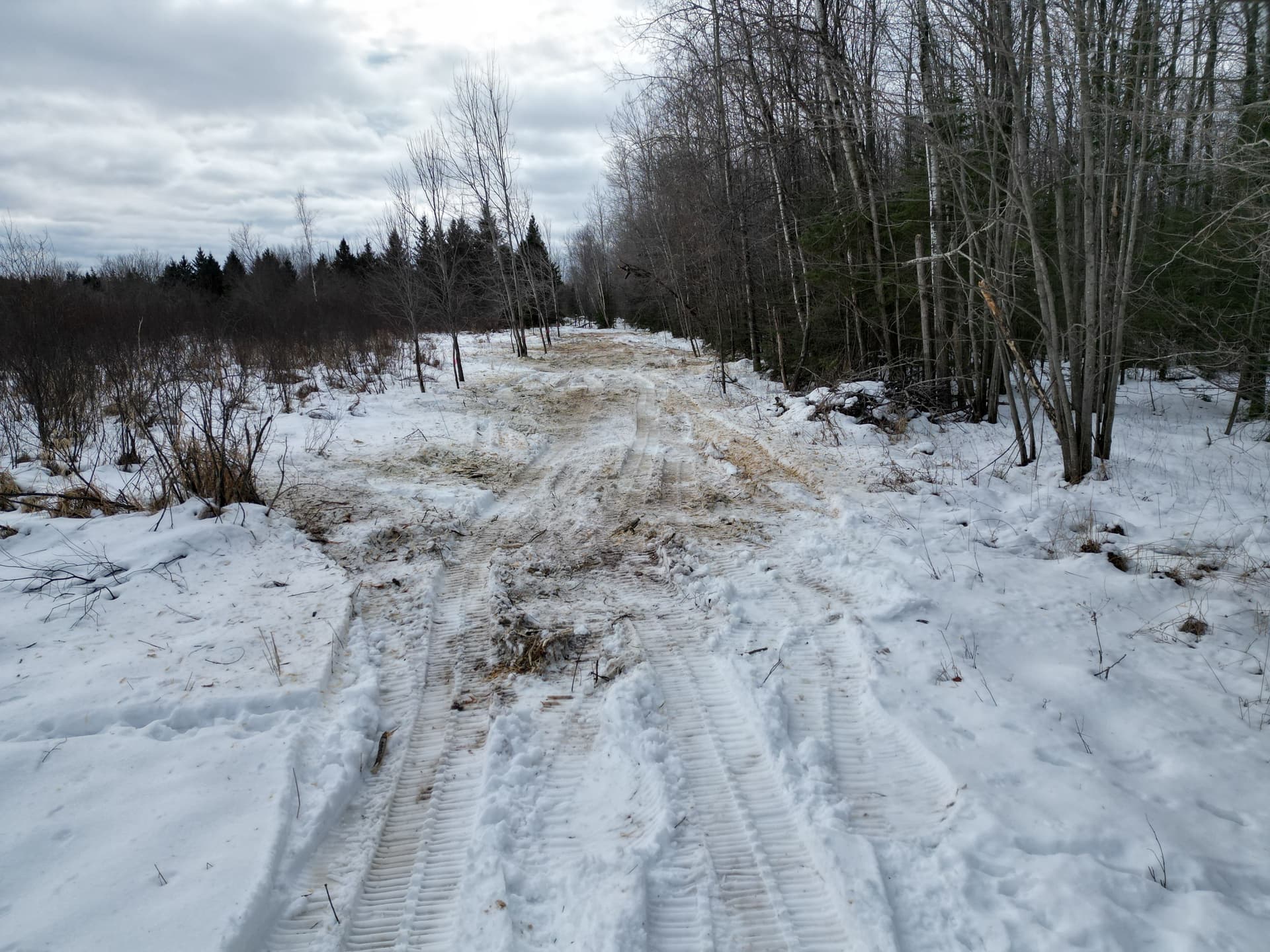 Creating Clear Shooting Lanes in Hewitt