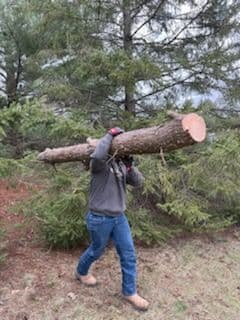 Helping Ringle Recover After the E3 Tornado image