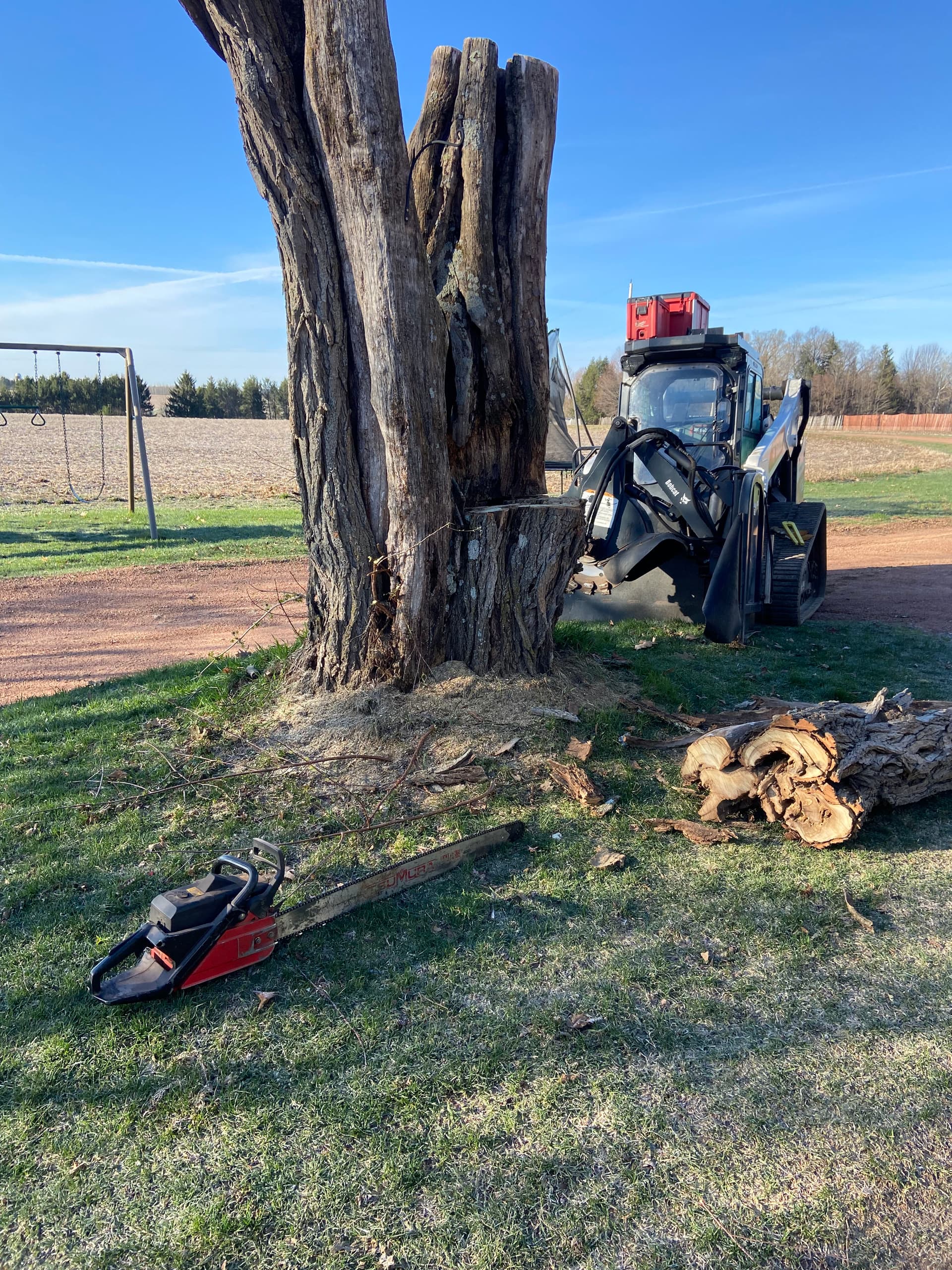 No Stump Too Big - We Grind It or Rip It Out image