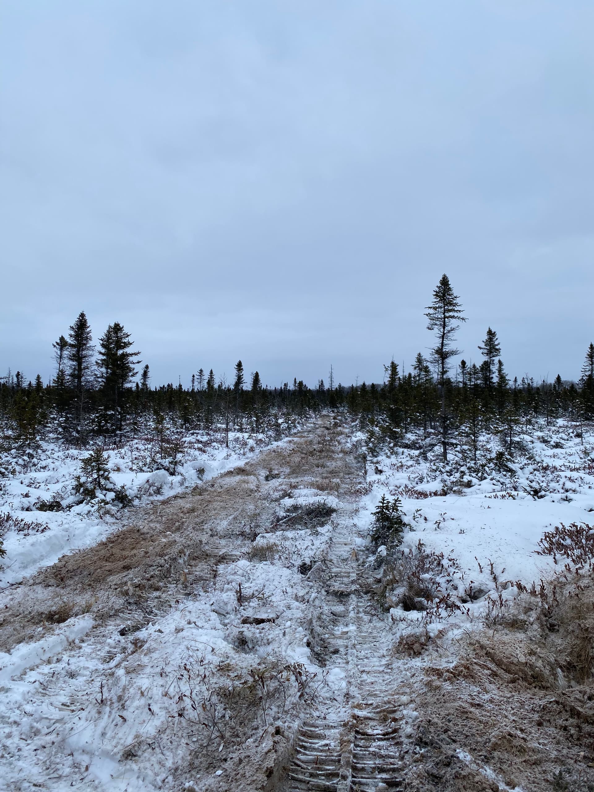 Gallery photos for Hunting Preparations Made Easy in Hatley: Image #6