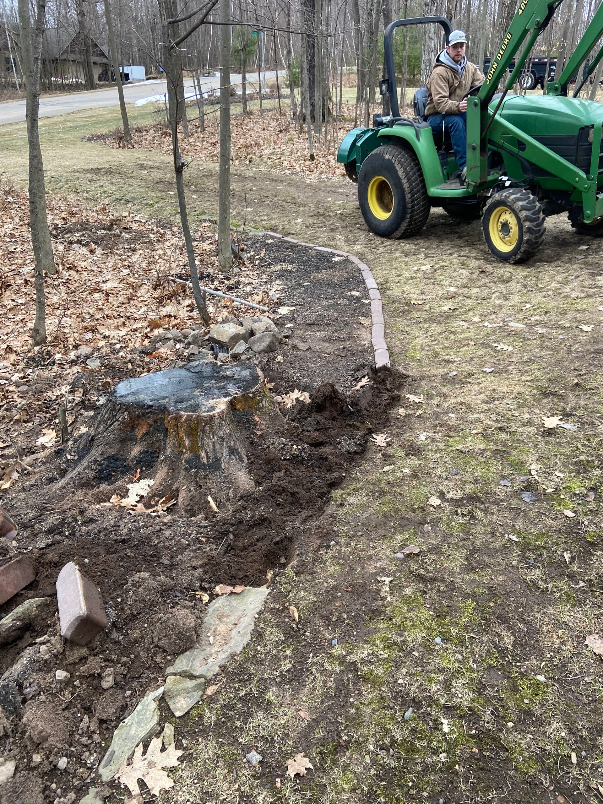 Stump Grinding Mastery in Your Backyard image