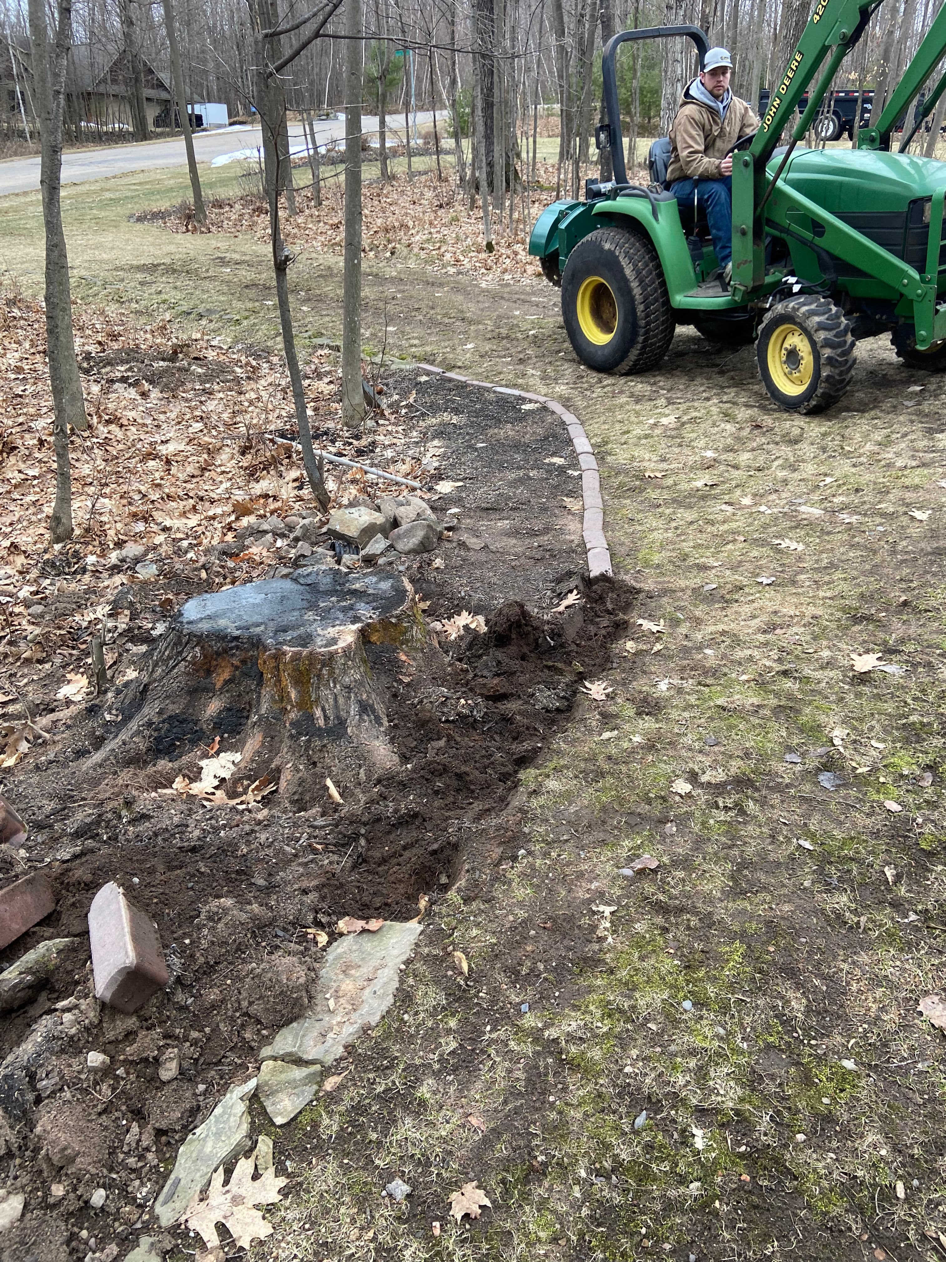 Project Stump Grinding Mastery in Your Backyard image