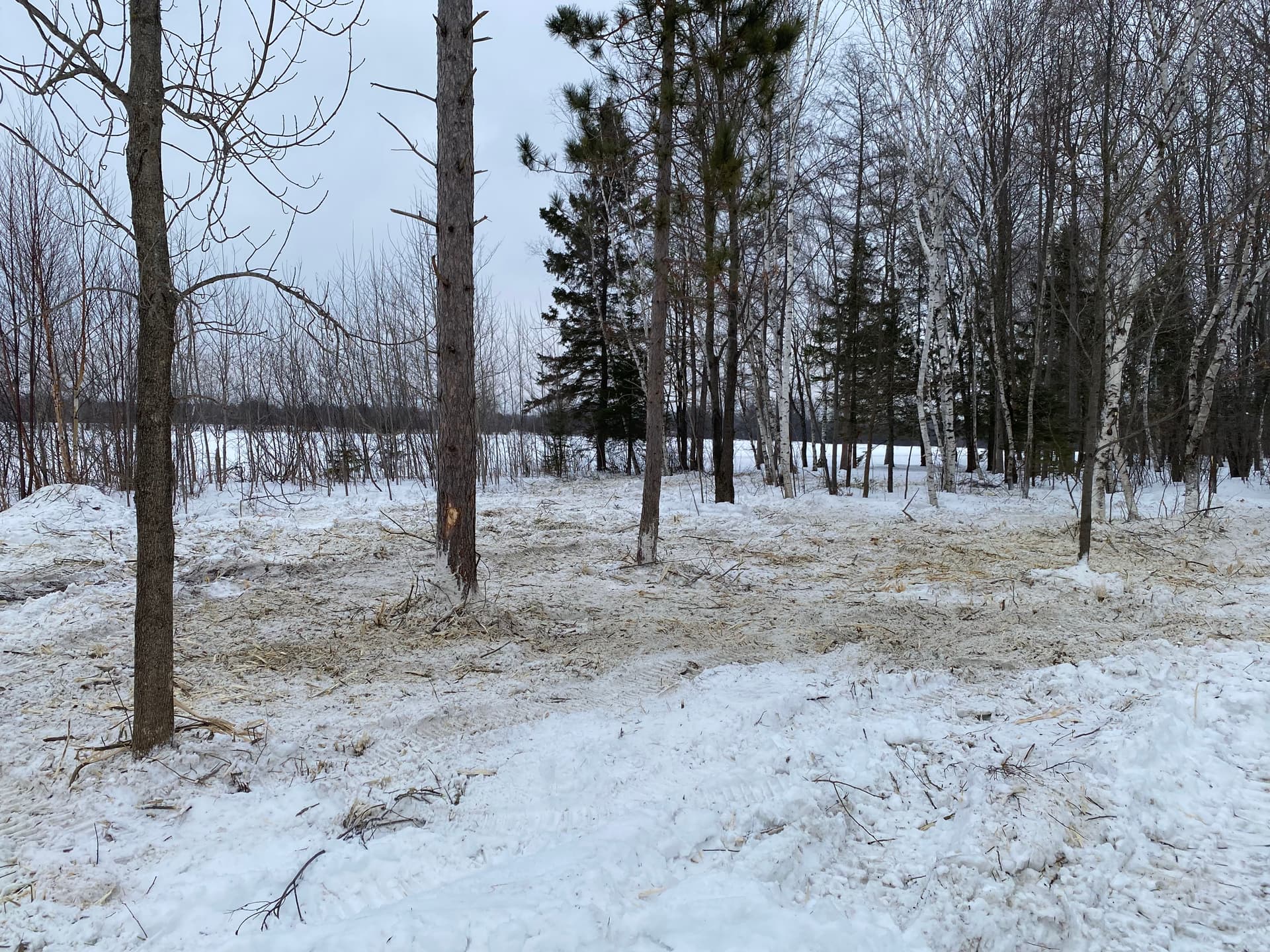 Gallery photos for Efficient Winter Land Clearing by Brush Busters: Image #4