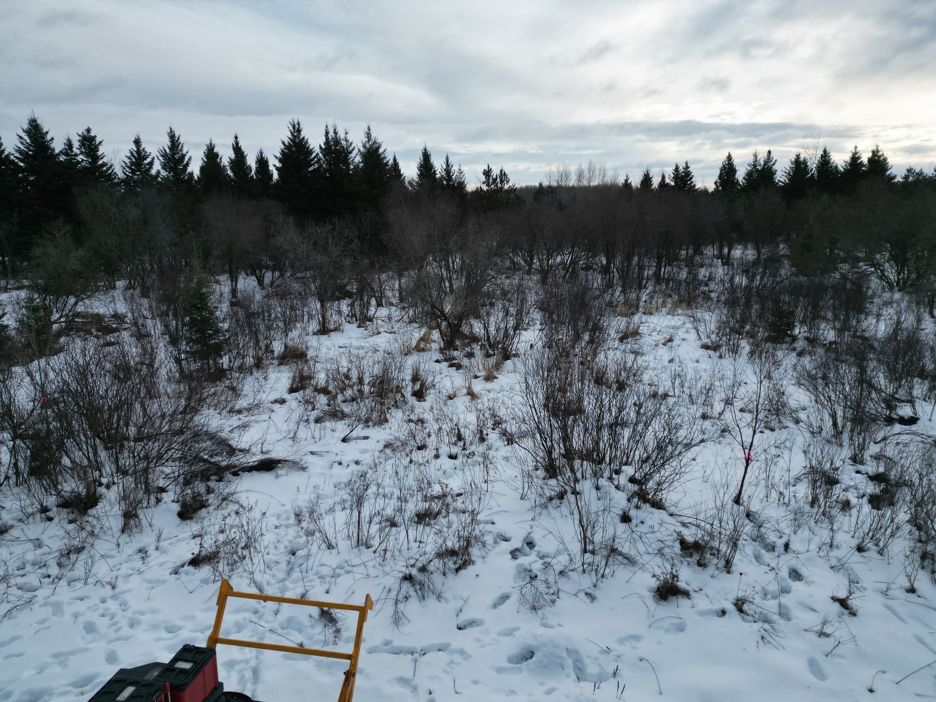 Creating Clear Shooting Lanes in Hewitt