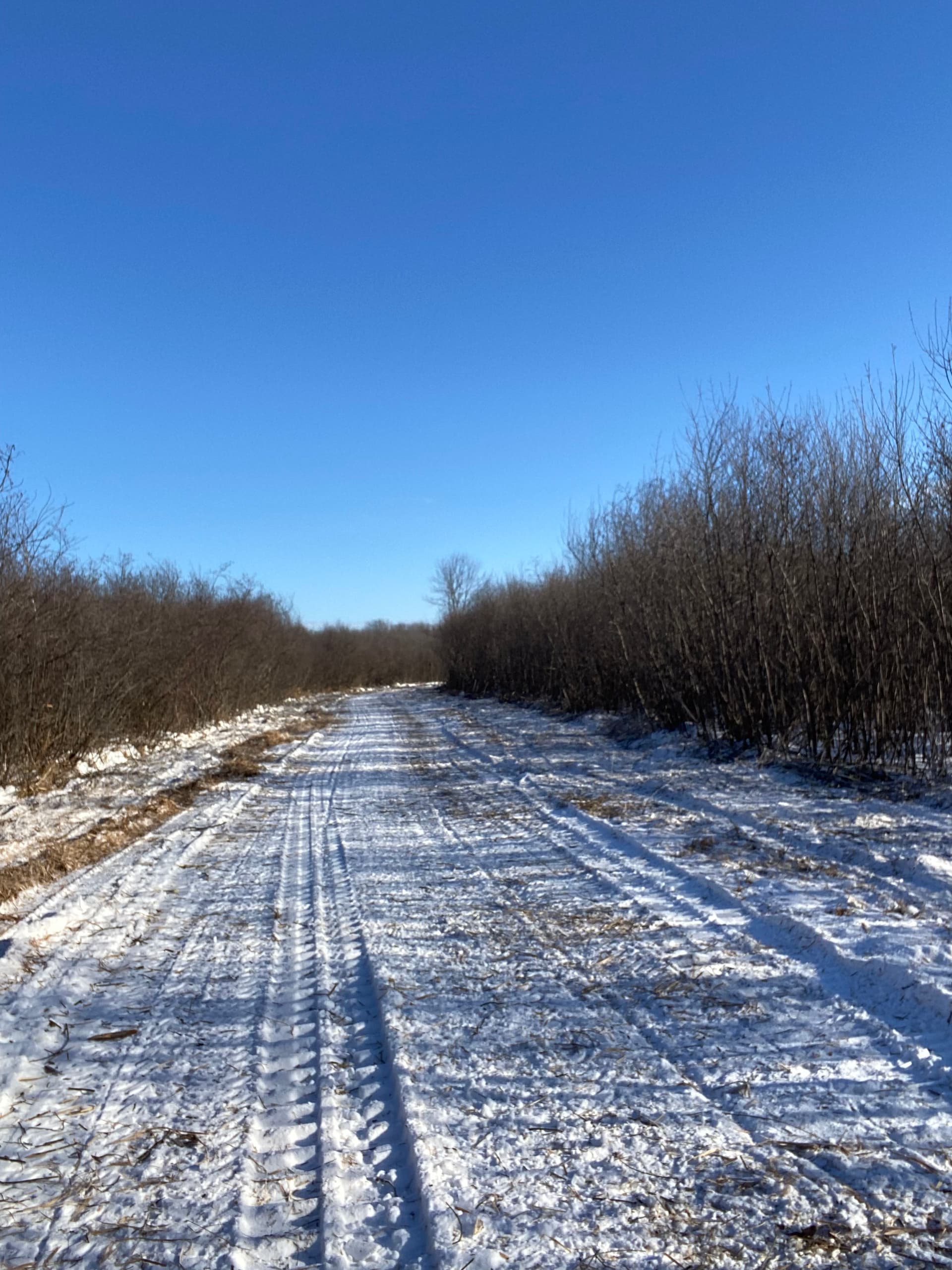 Snowmobile Trail Cleanup in Rib Mountain