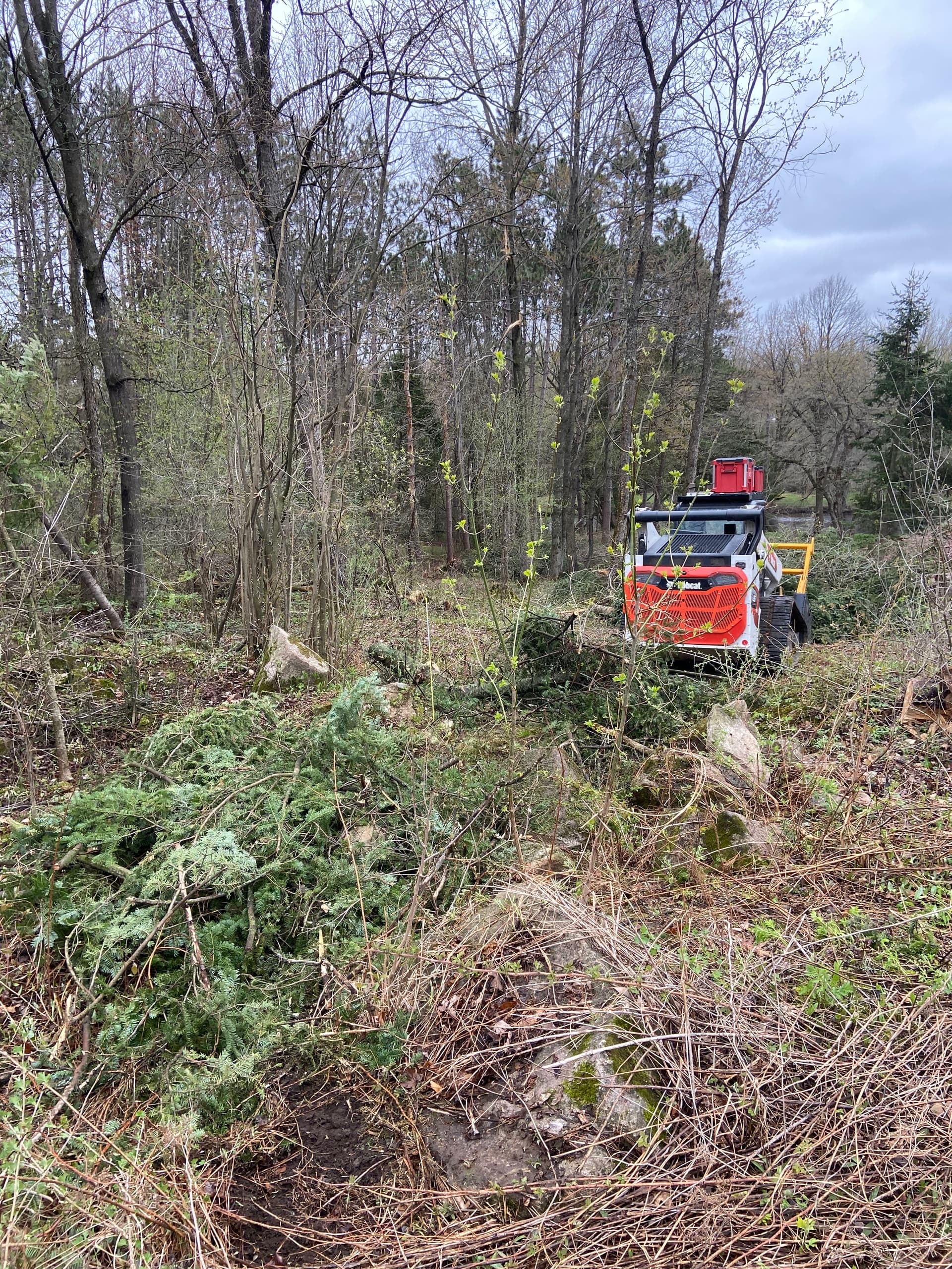 Gallery photos for Storm Damage Cleanup and Land Clearing Near Ringle: Image #1