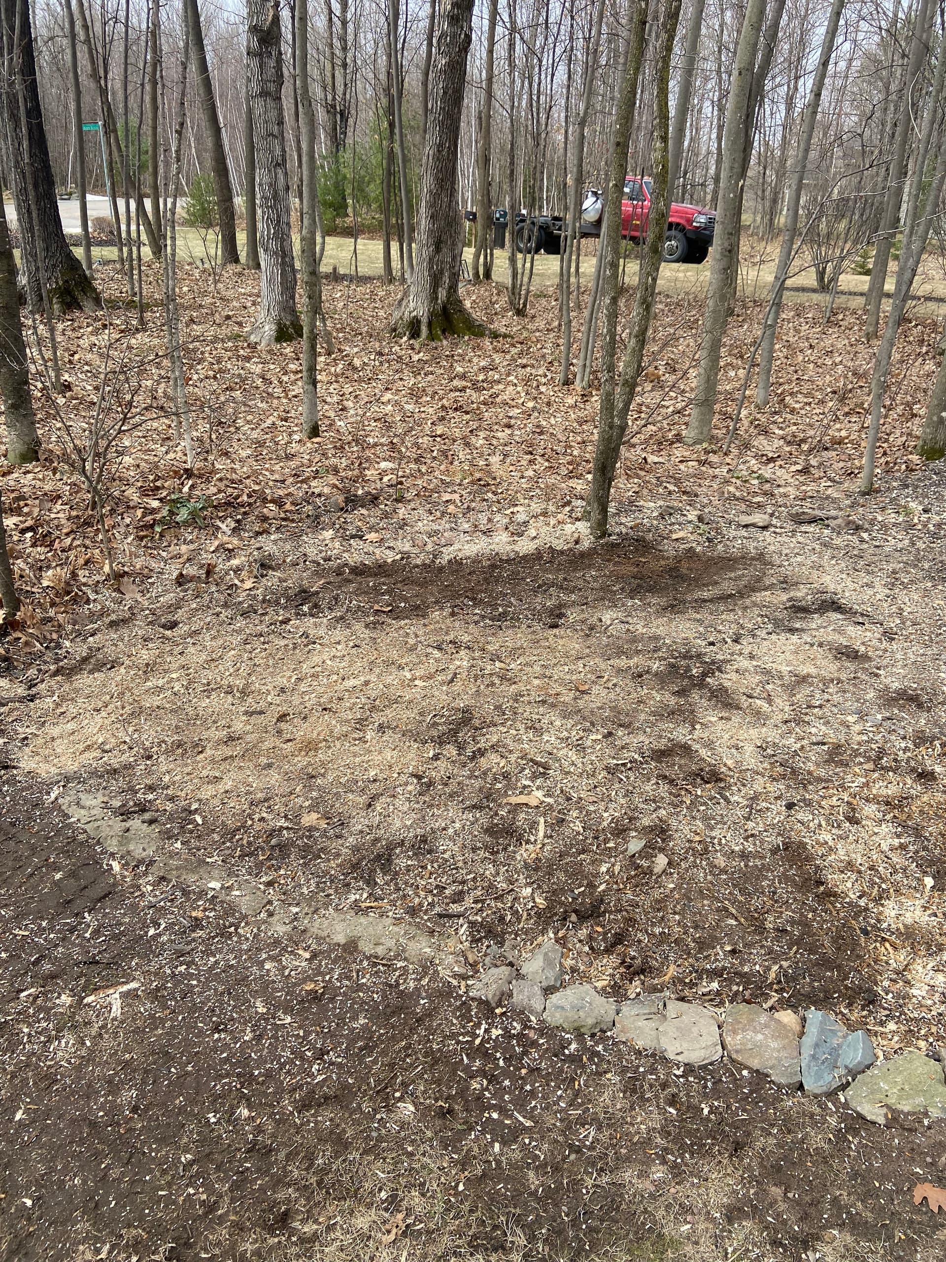 Gallery photos for Stump Grinding Mastery in Your Backyard: Image #3