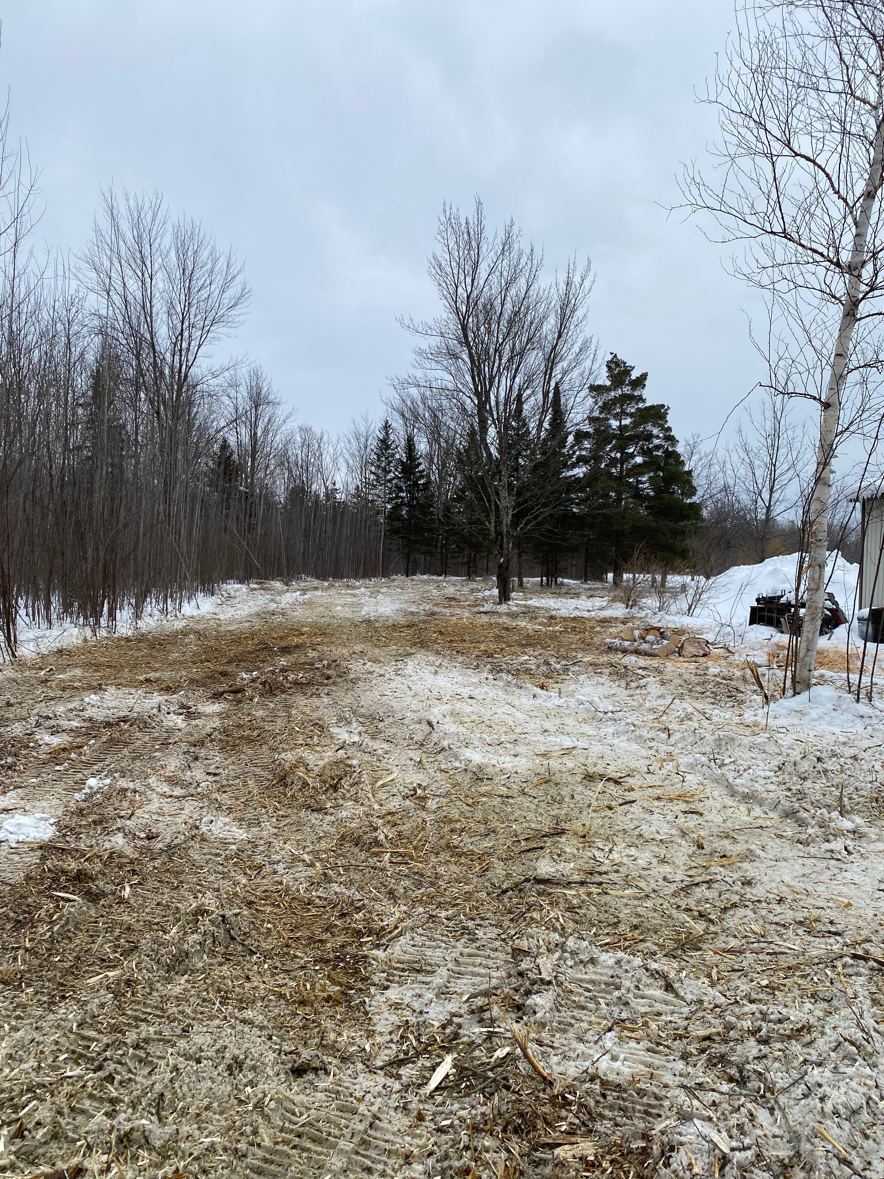 Project Efficient Winter Land Clearing by Brush Busters image