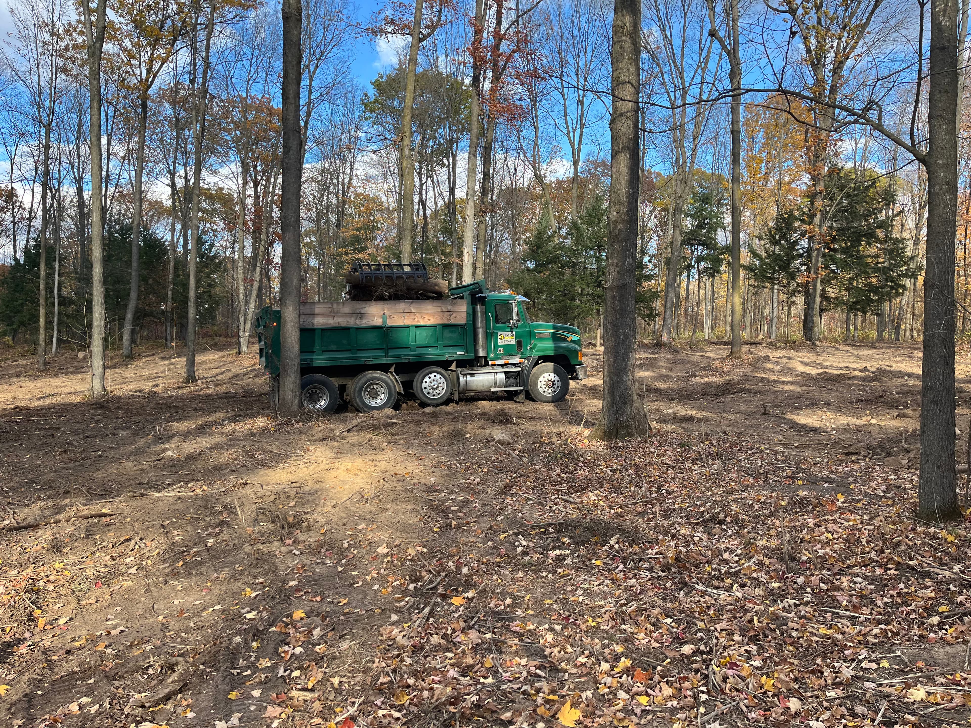 Project Wooded Land Cleared and Ready to Build image