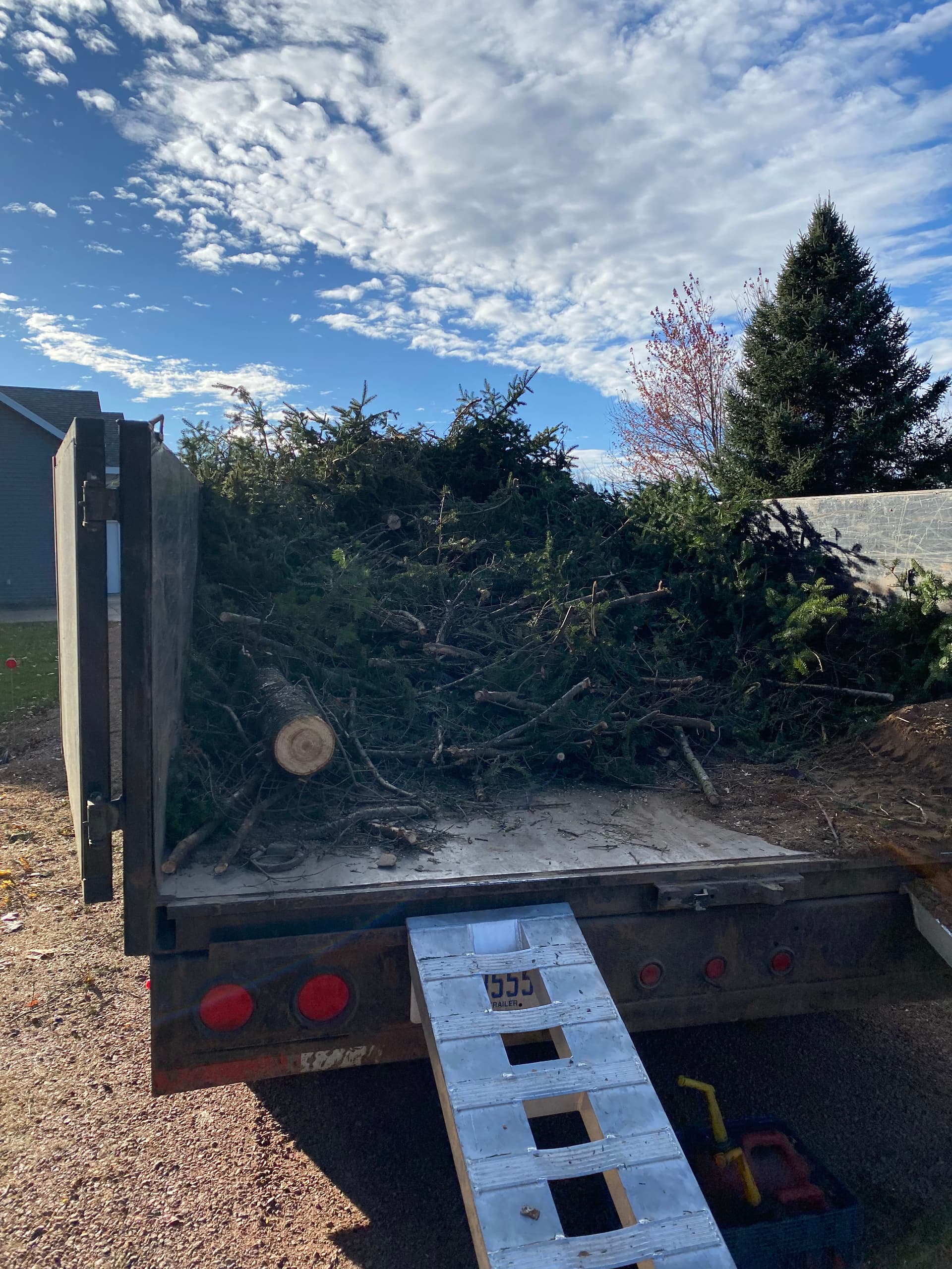 Gallery photos for Efficient Tree and Stump Removal in Your Neighborhood: Image #2