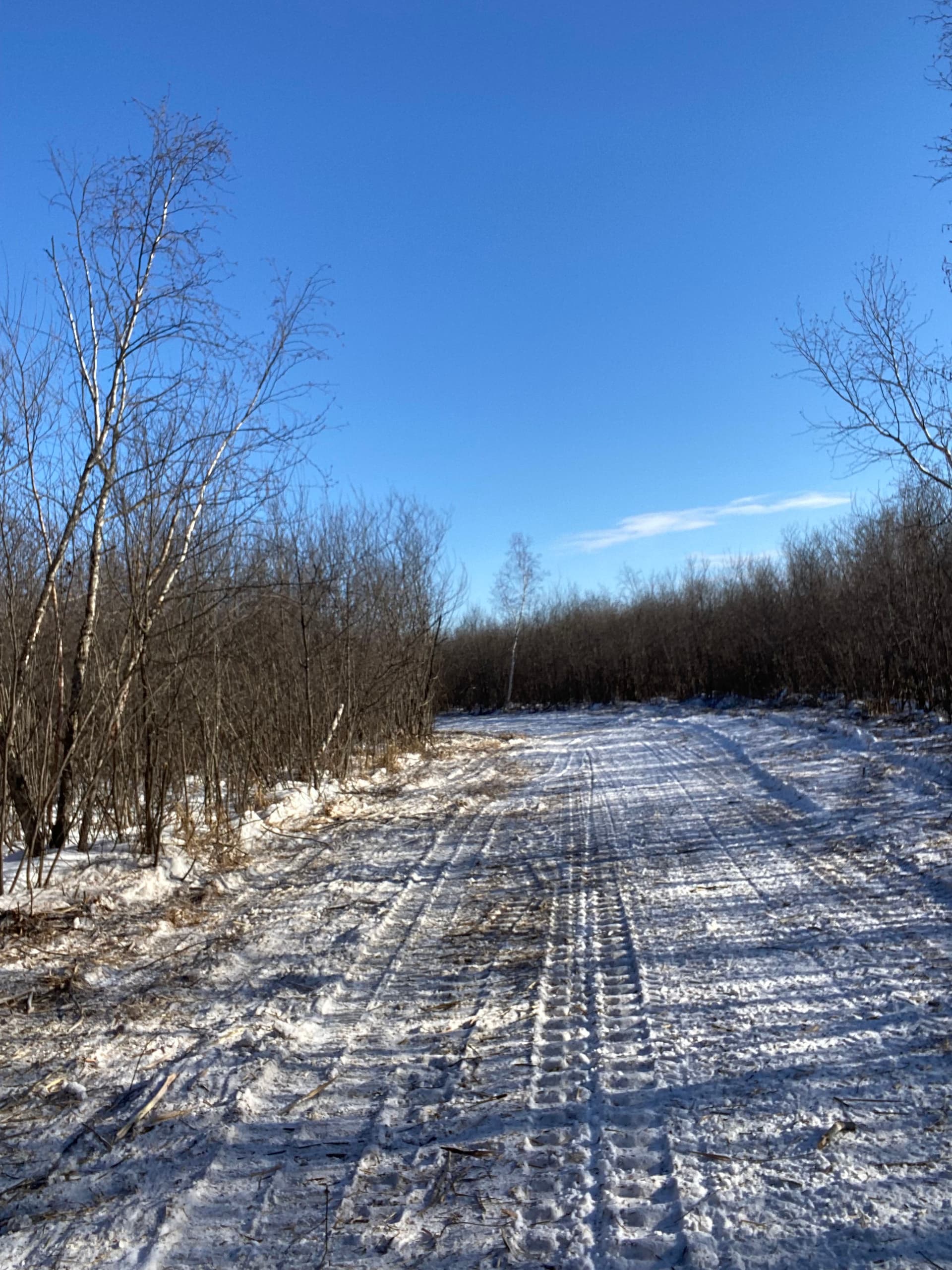 Snowmobile Trail Cleanup in Rib Mountain