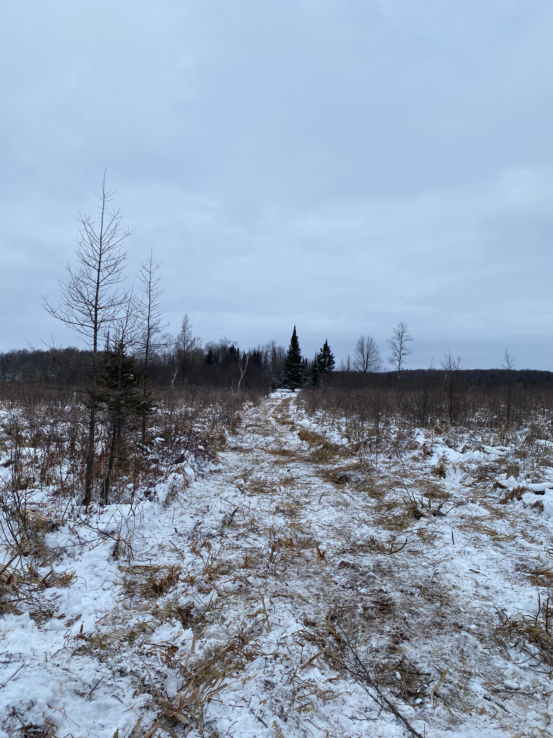 Gallery photos for Hunting Preparations Made Easy in Hatley: Image #8