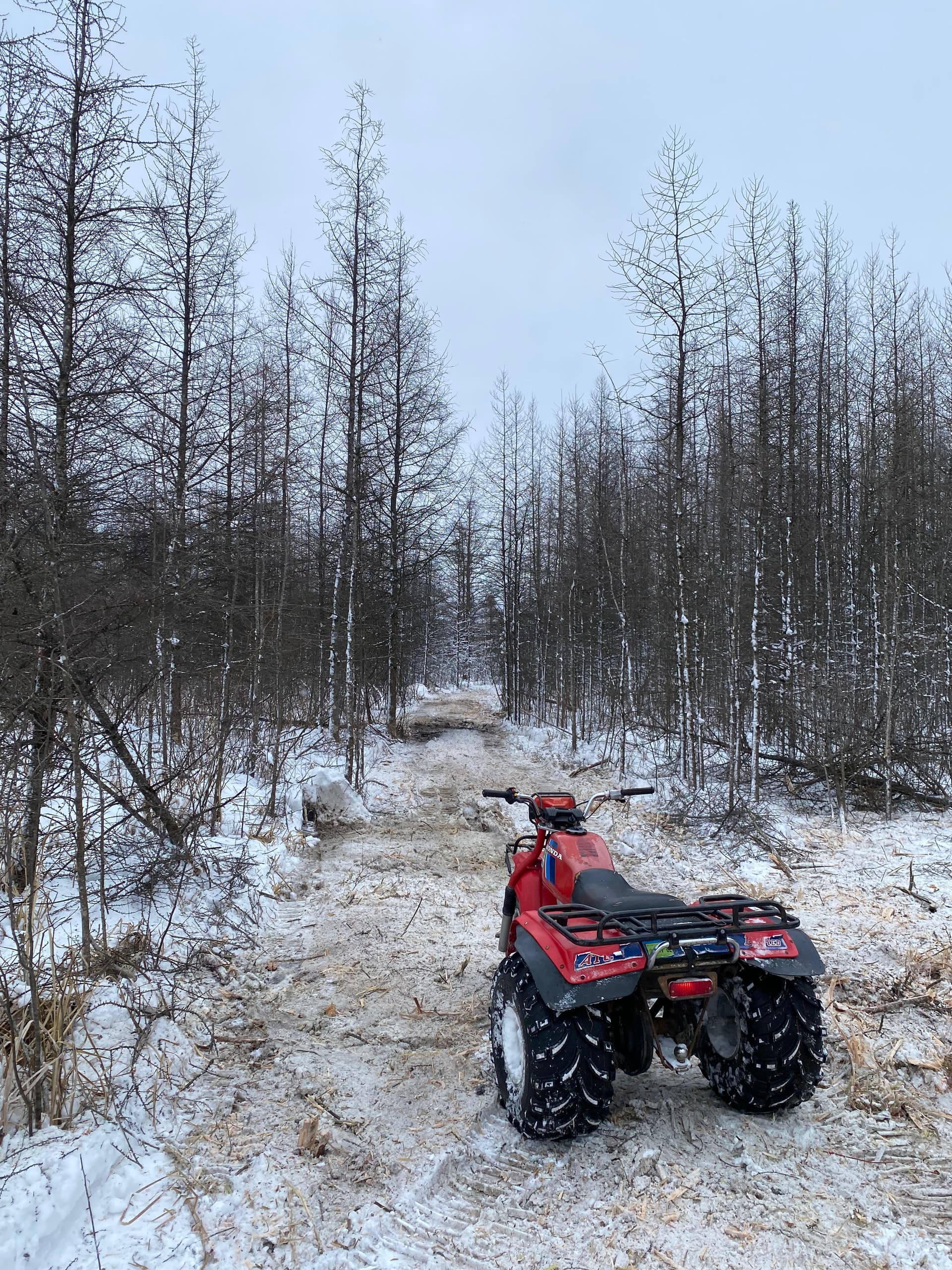 Gallery photos for Hunting Preparations Made Easy in Hatley: Image #7