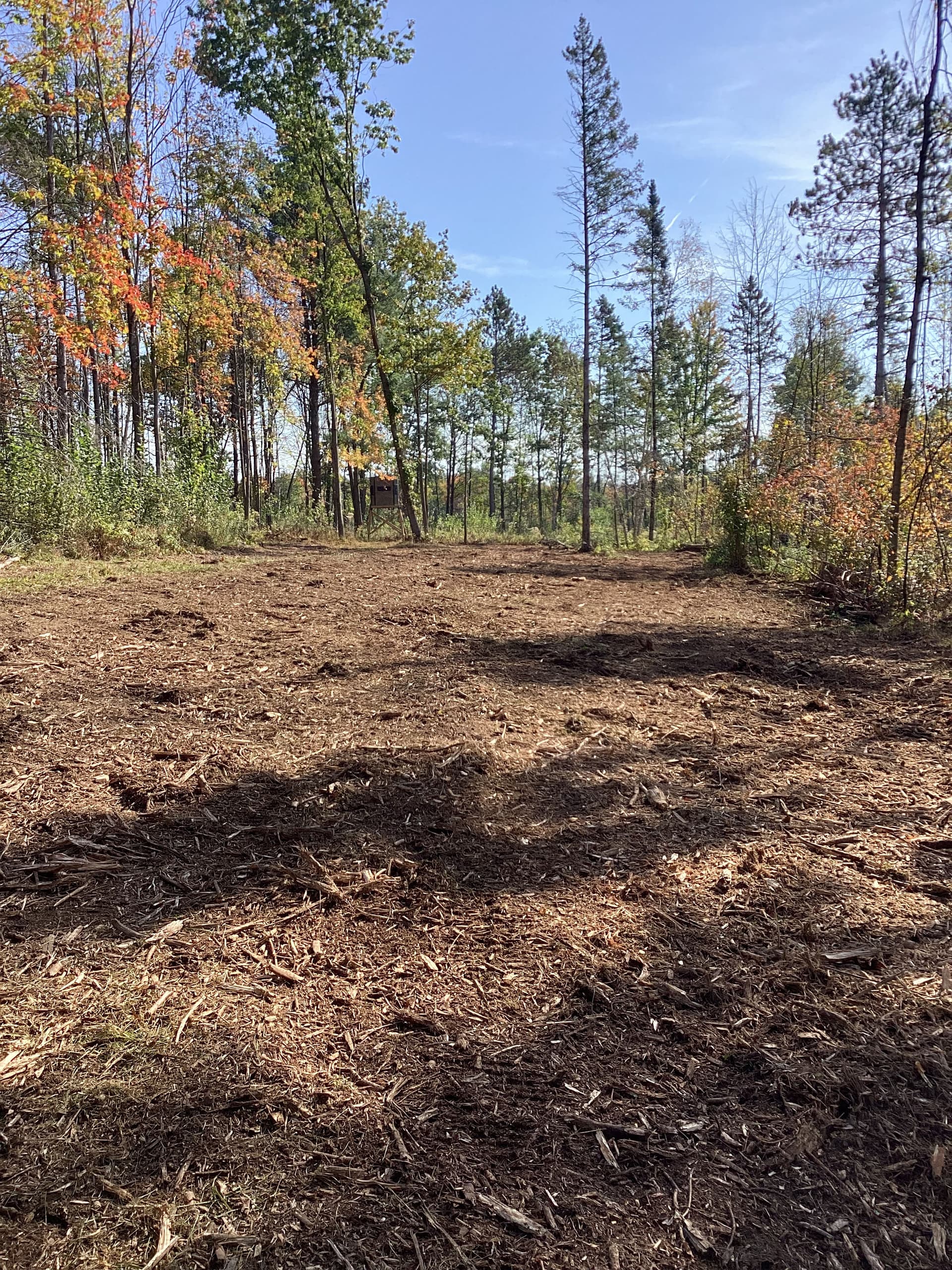 Gallery photos for Clearing Paths and Maintaining Land in Merrill: Image #3