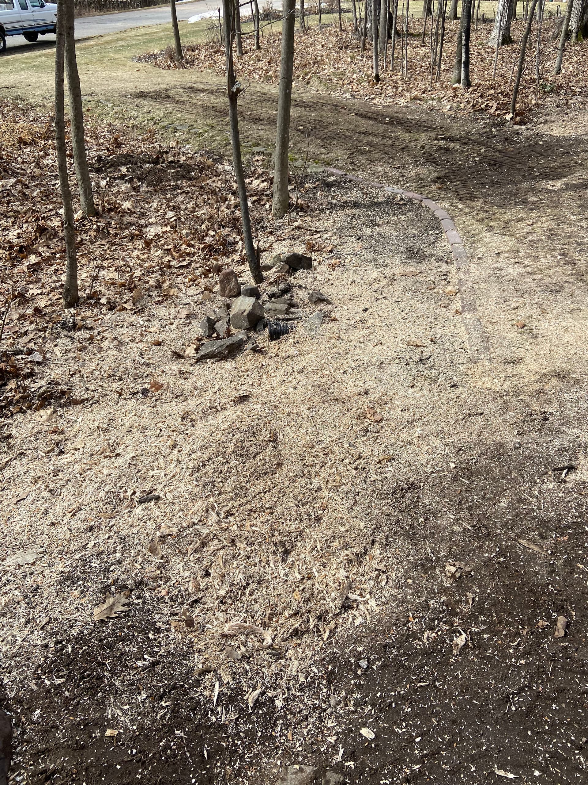 Gallery photos for Stump Grinding Mastery in Your Backyard: Image #4