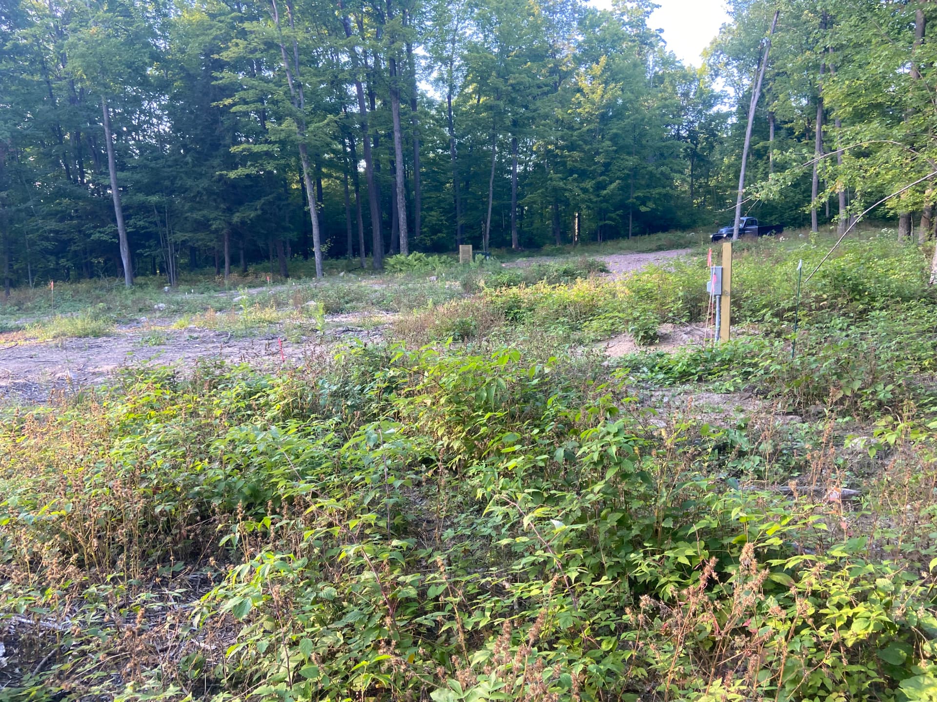 Camper Pad and Driveway Built from Overgrown Wooded Property