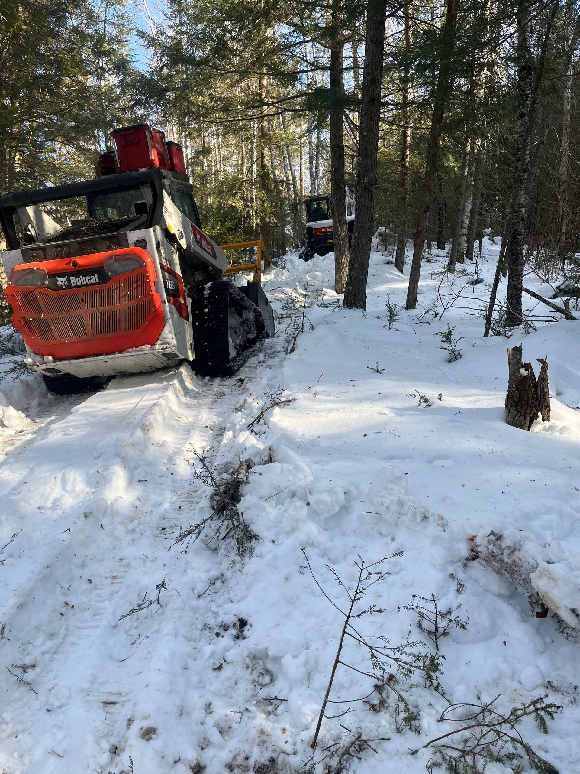 Gallery photos for Efficient Winter Land Clearing with Our Bobcat: Image #5