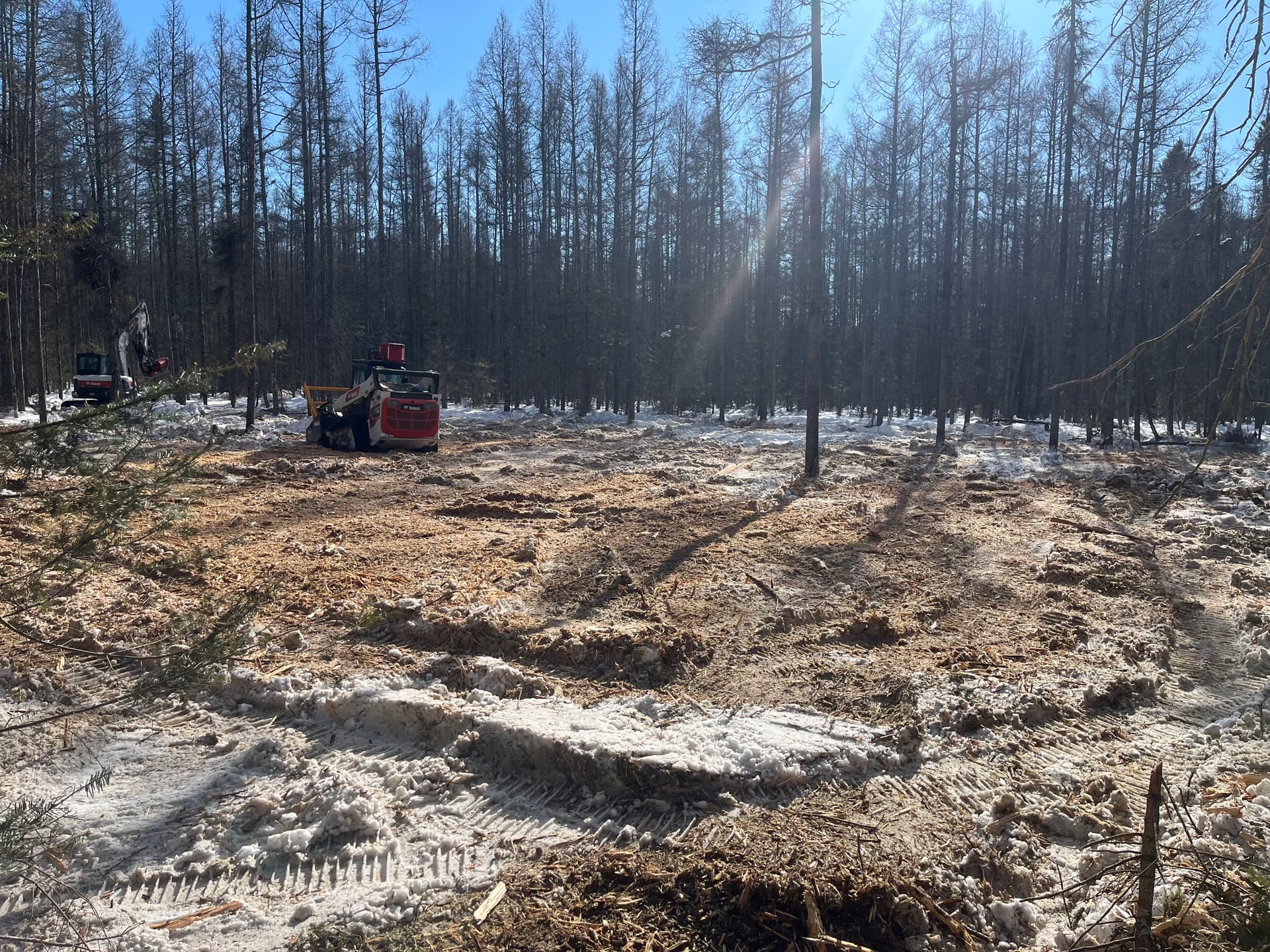 Efficient Winter Land Clearing with Our Bobcat