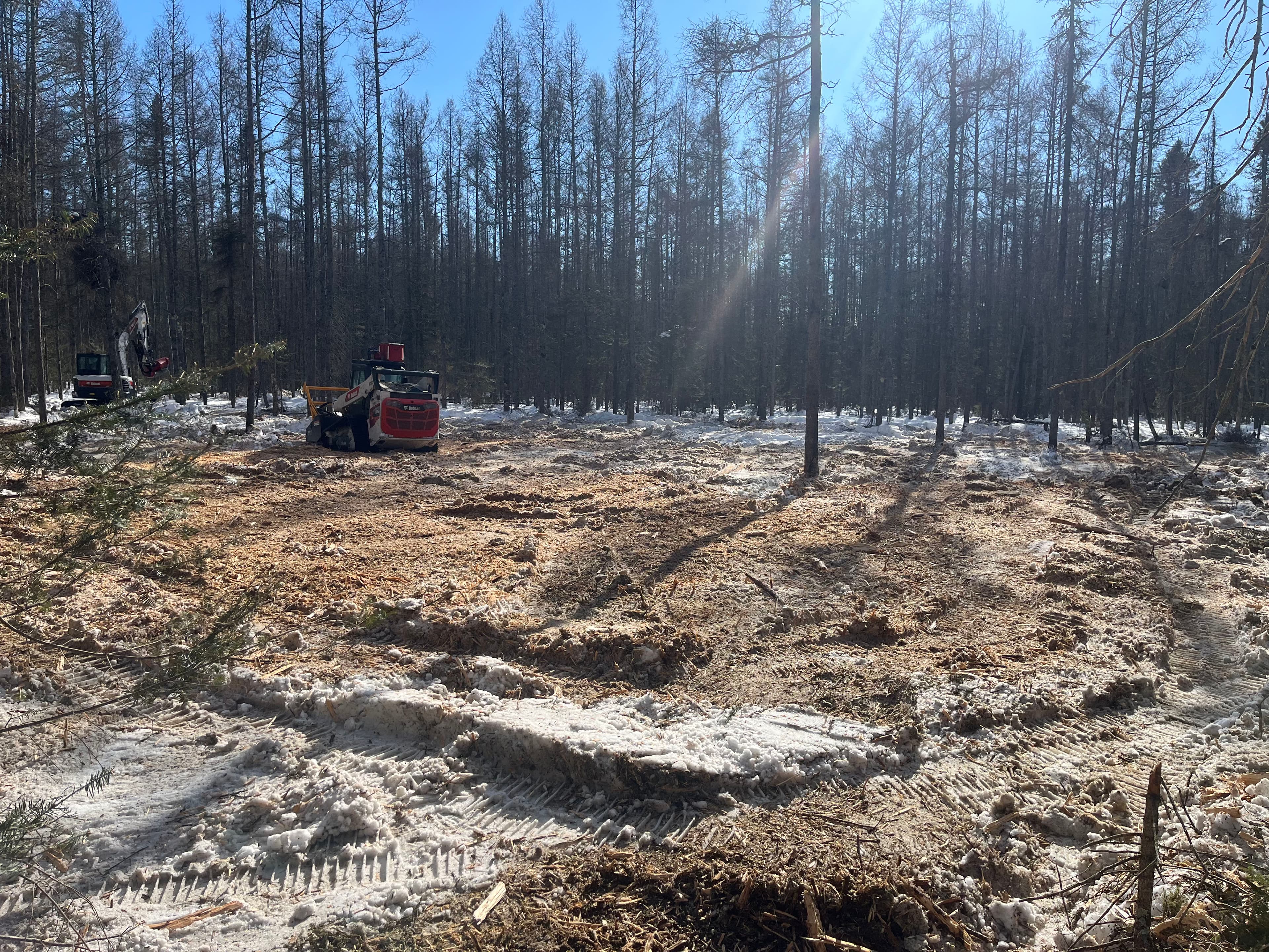 Project Efficient Winter Land Clearing with Our Bobcat image