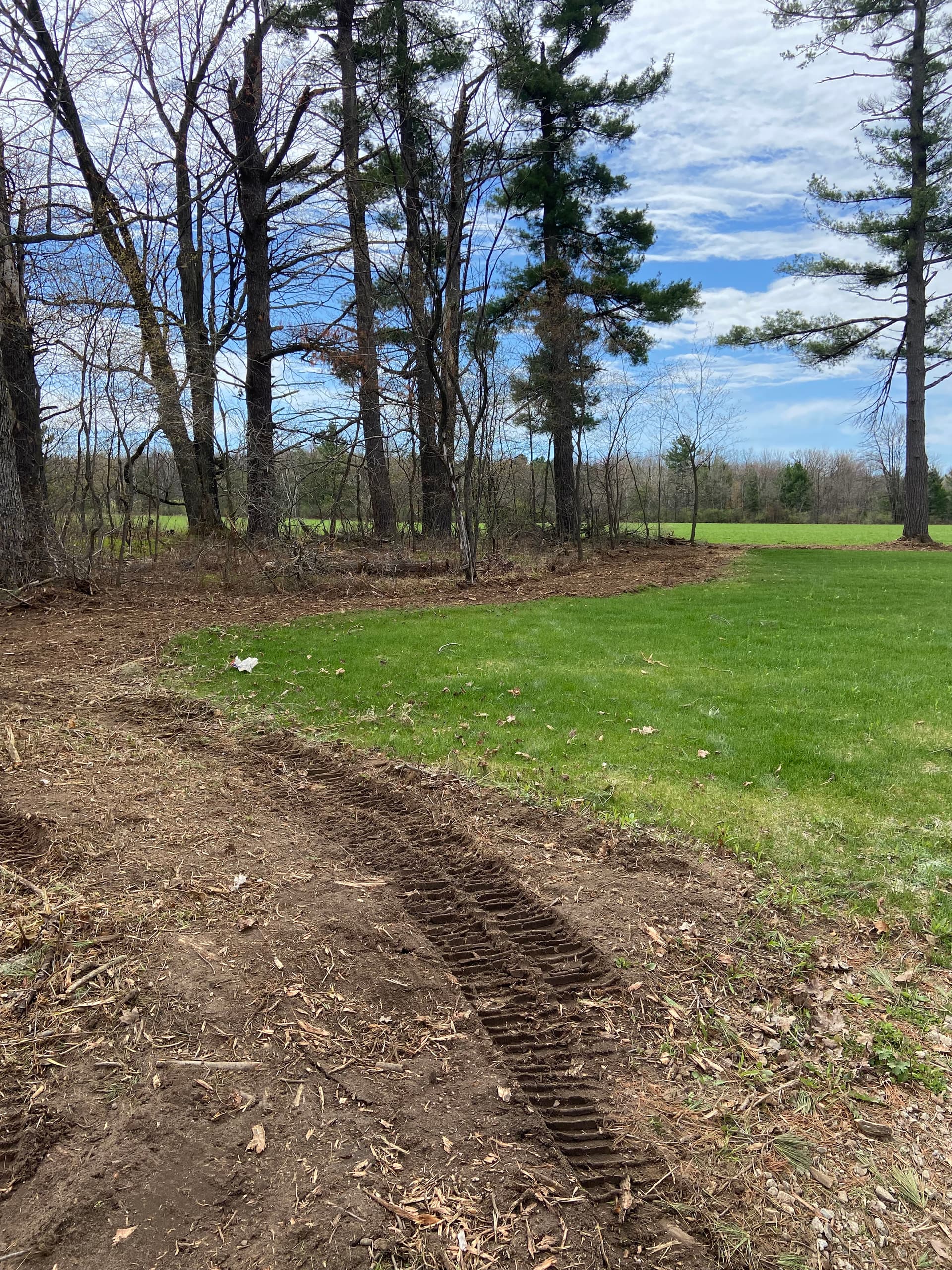 Gallery photos for Forestry Mulching and Brush Clearing That Opens Up Overgrown Land: Image #7