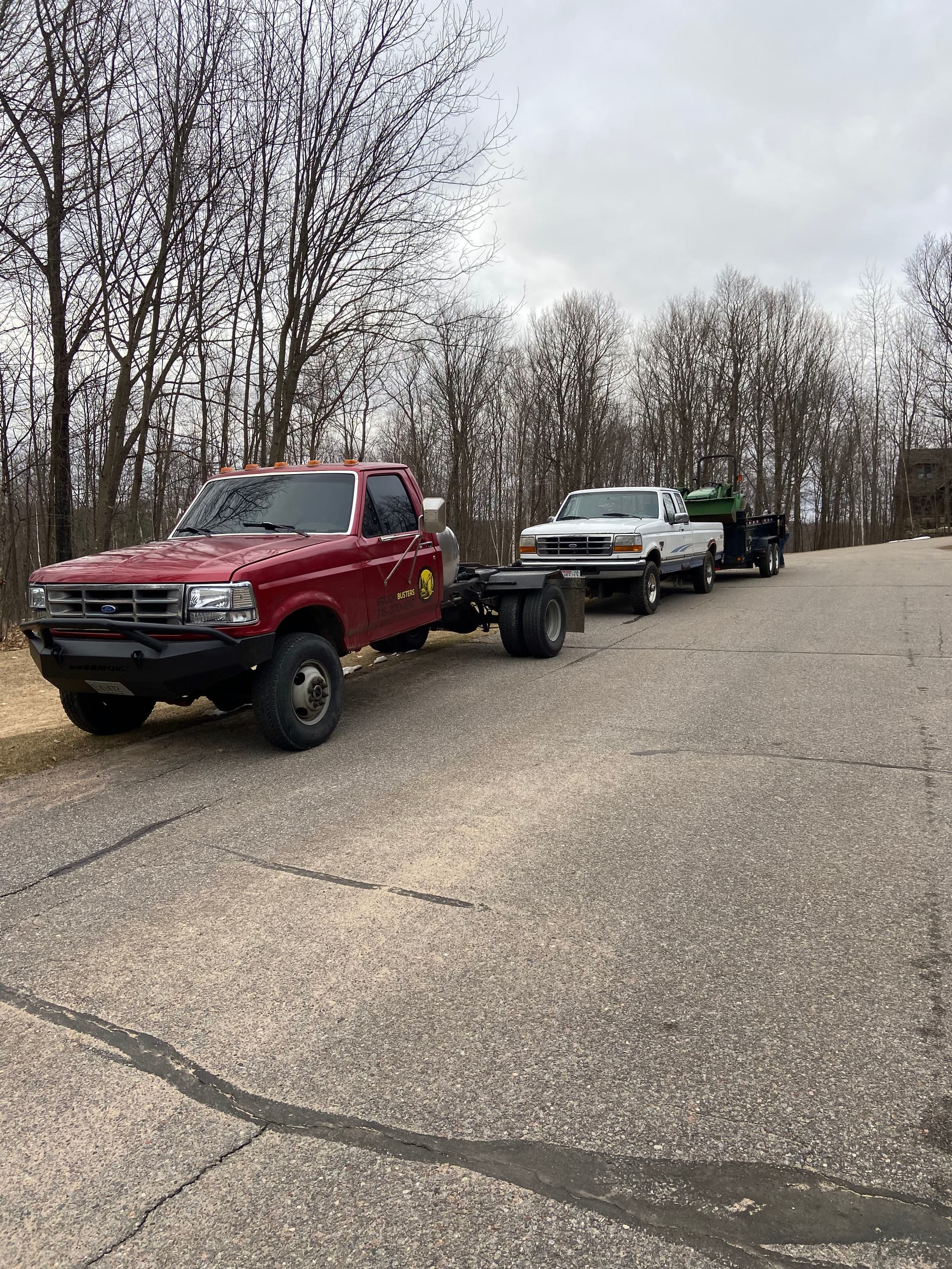 Gallery photos for Stump Grinding Mastery in Your Backyard: Image #2