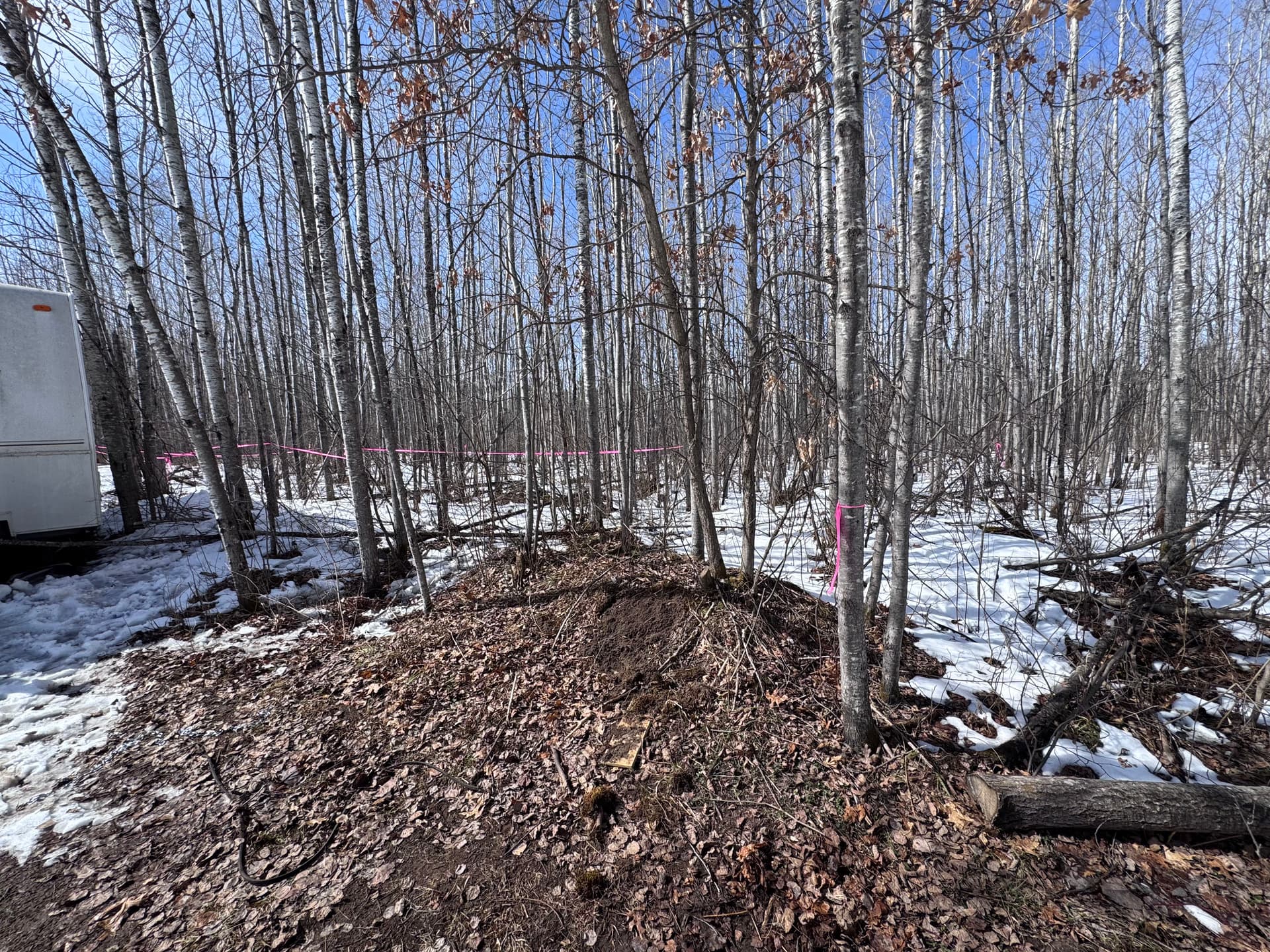 Gallery photos for Driveway Widening and Cabin Site Clearing Done Right: Image #2