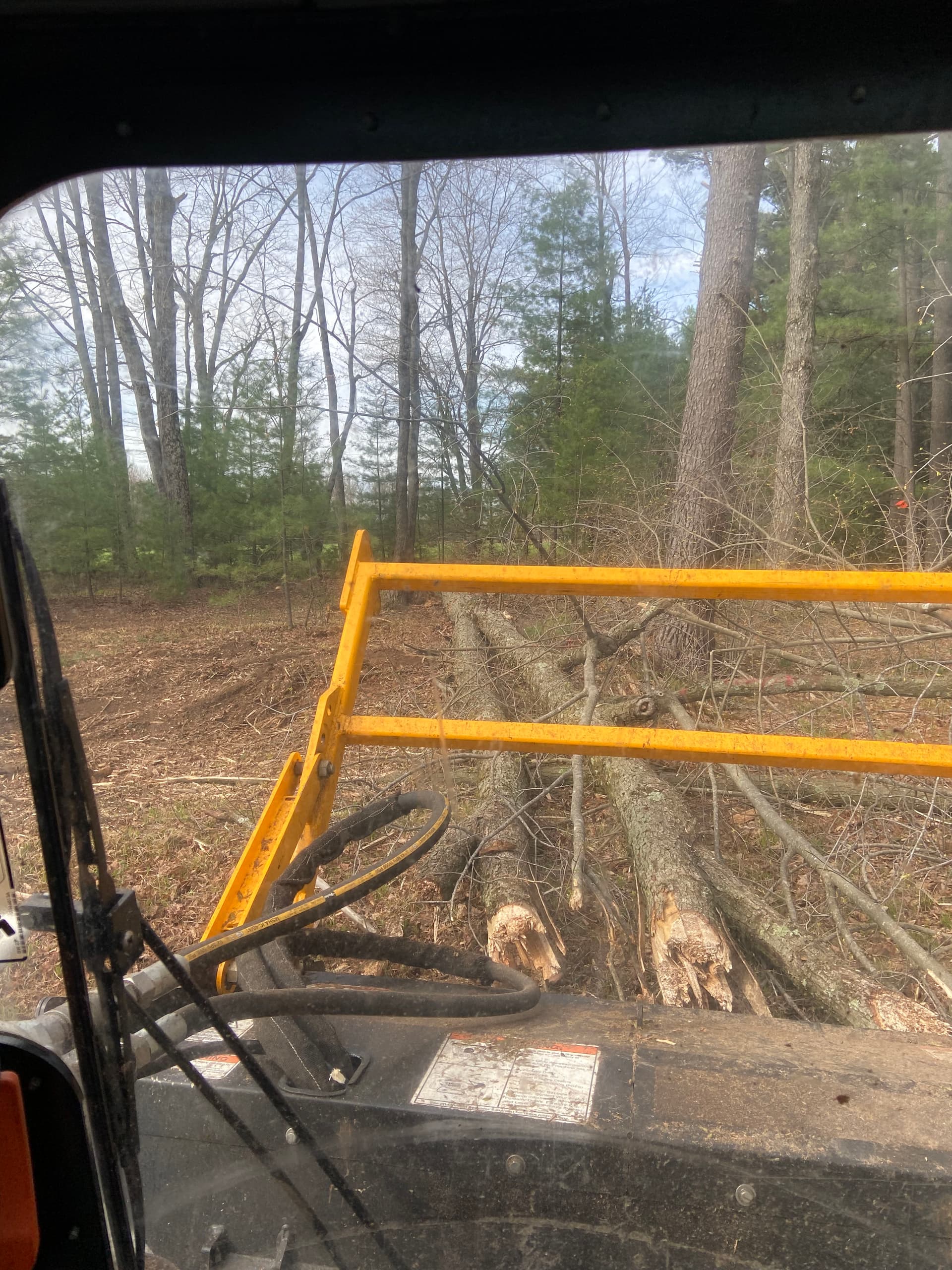 Gallery photos for Forestry Mulching and Brush Clearing That Opens Up Overgrown Land: Image #2