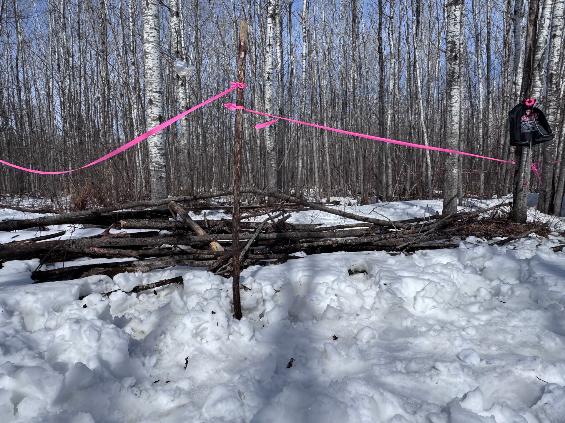 Driveway Widening and Cabin Site Clearing Done Right image