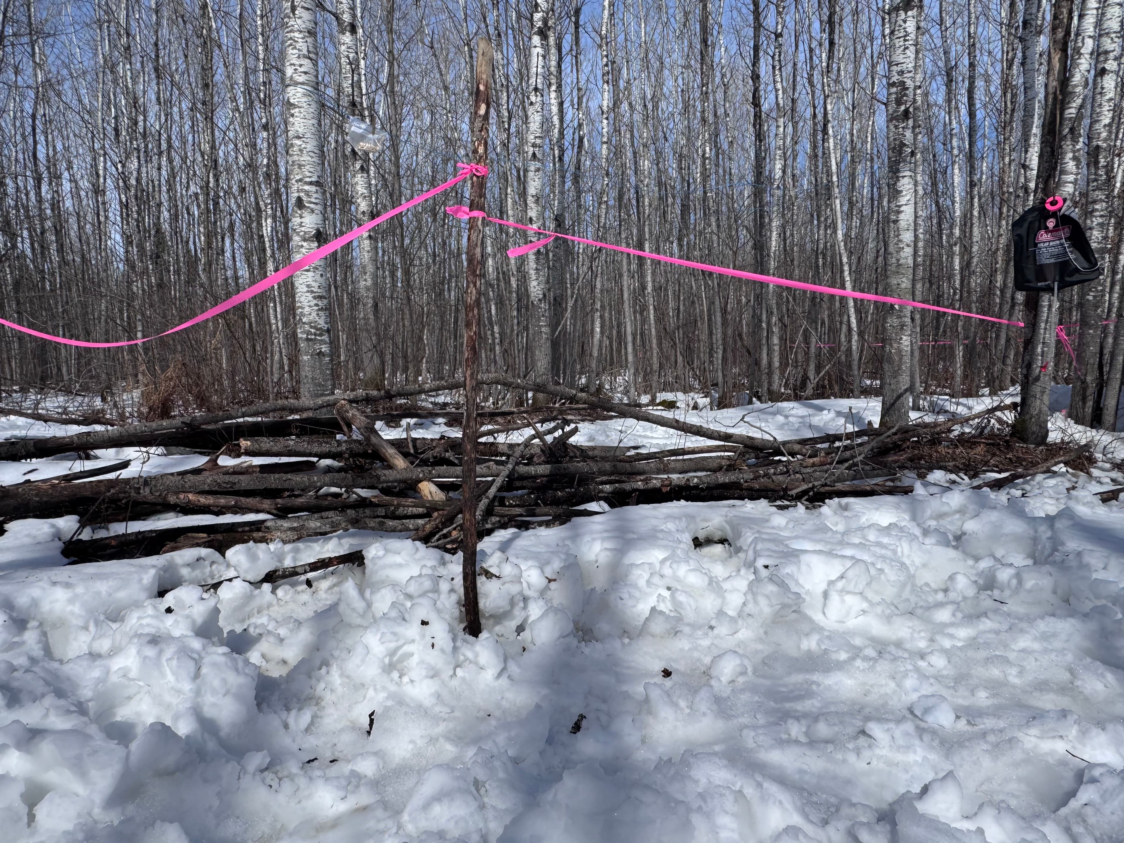 Project Driveway Widening and Cabin Site Clearing Done Right image