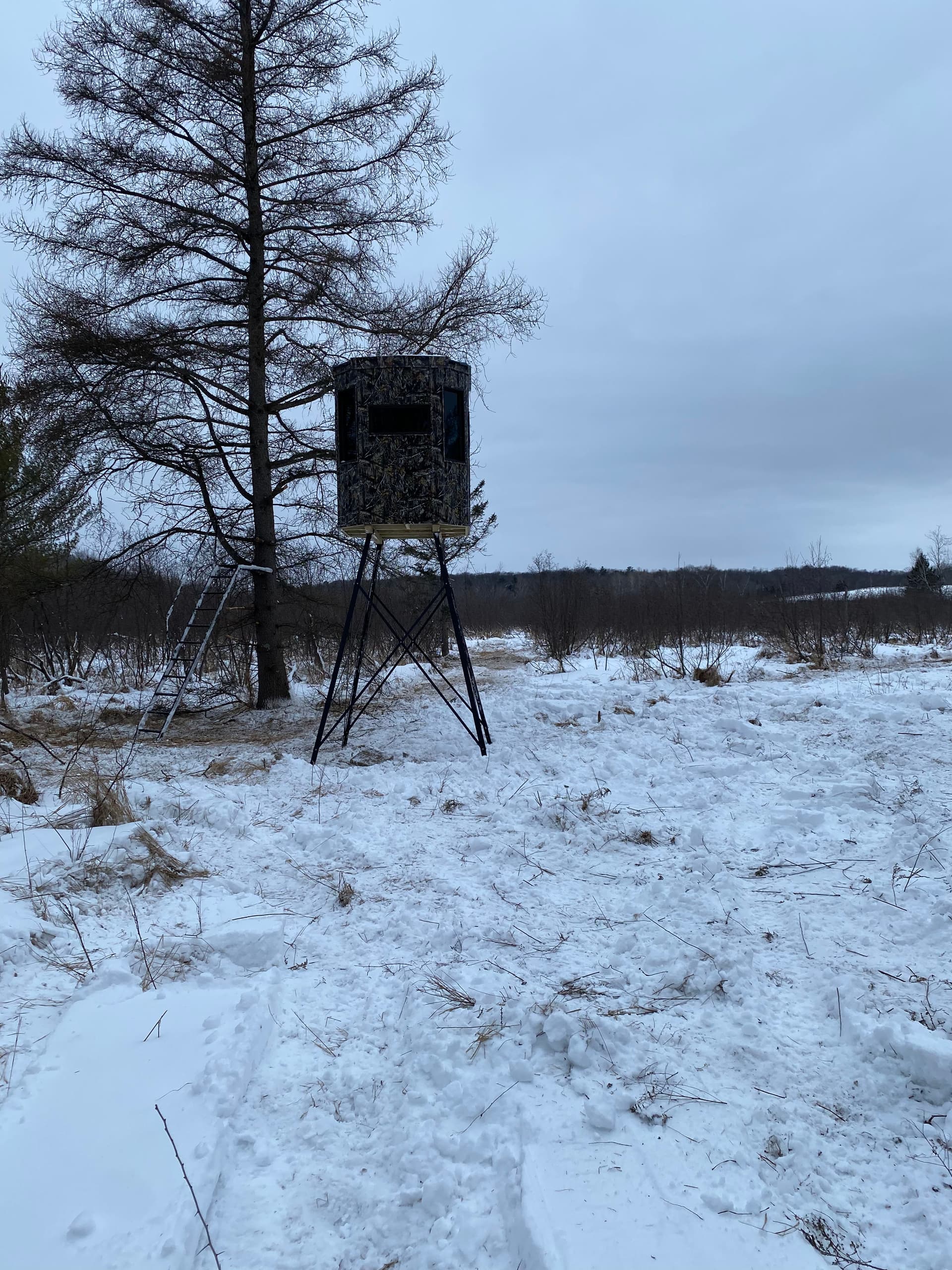 Gallery photos for Hunting Preparations Made Easy in Hatley: Image #4