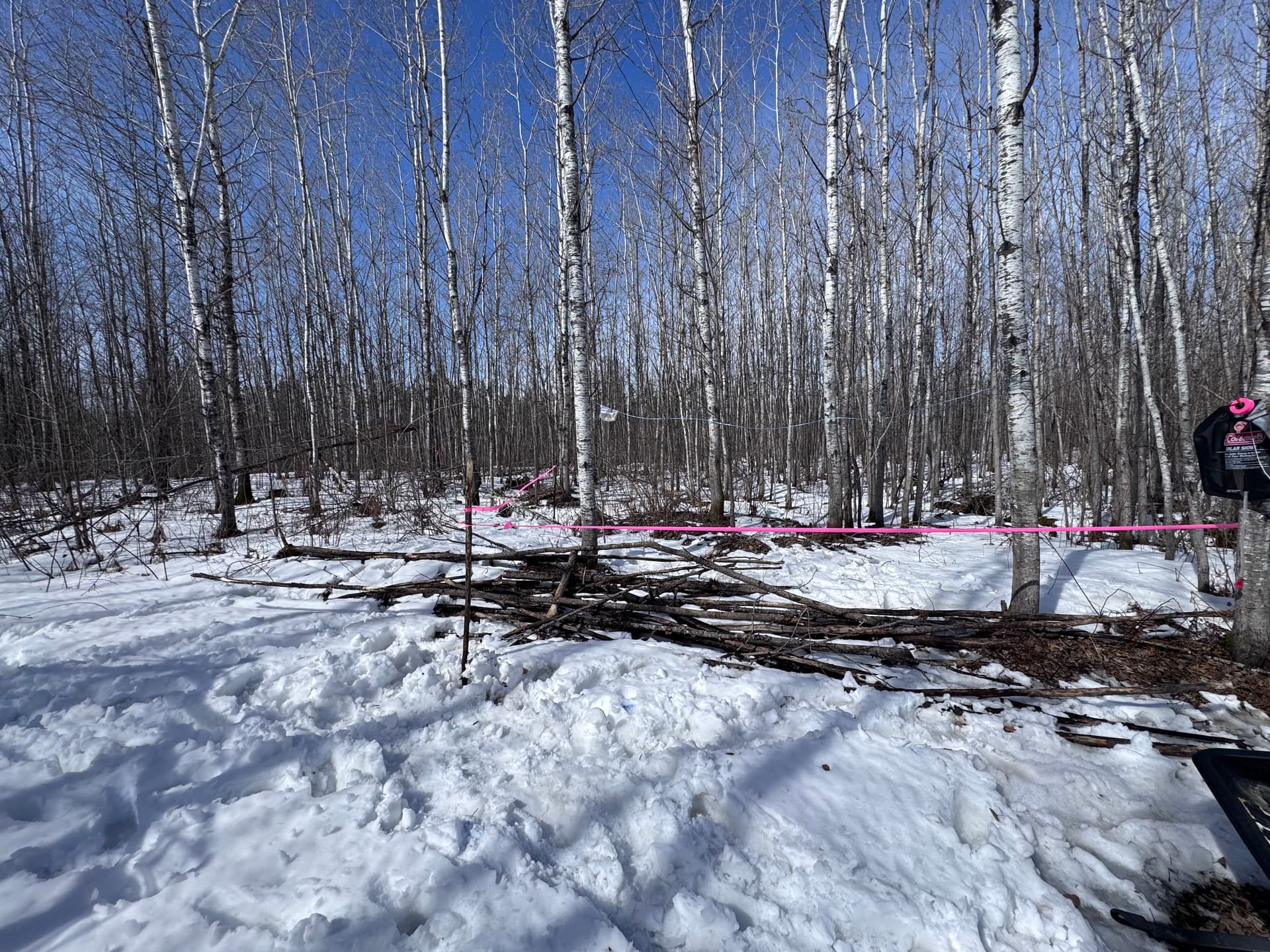Gallery photos for Driveway Widening and Cabin Site Clearing Done Right: Image #1
