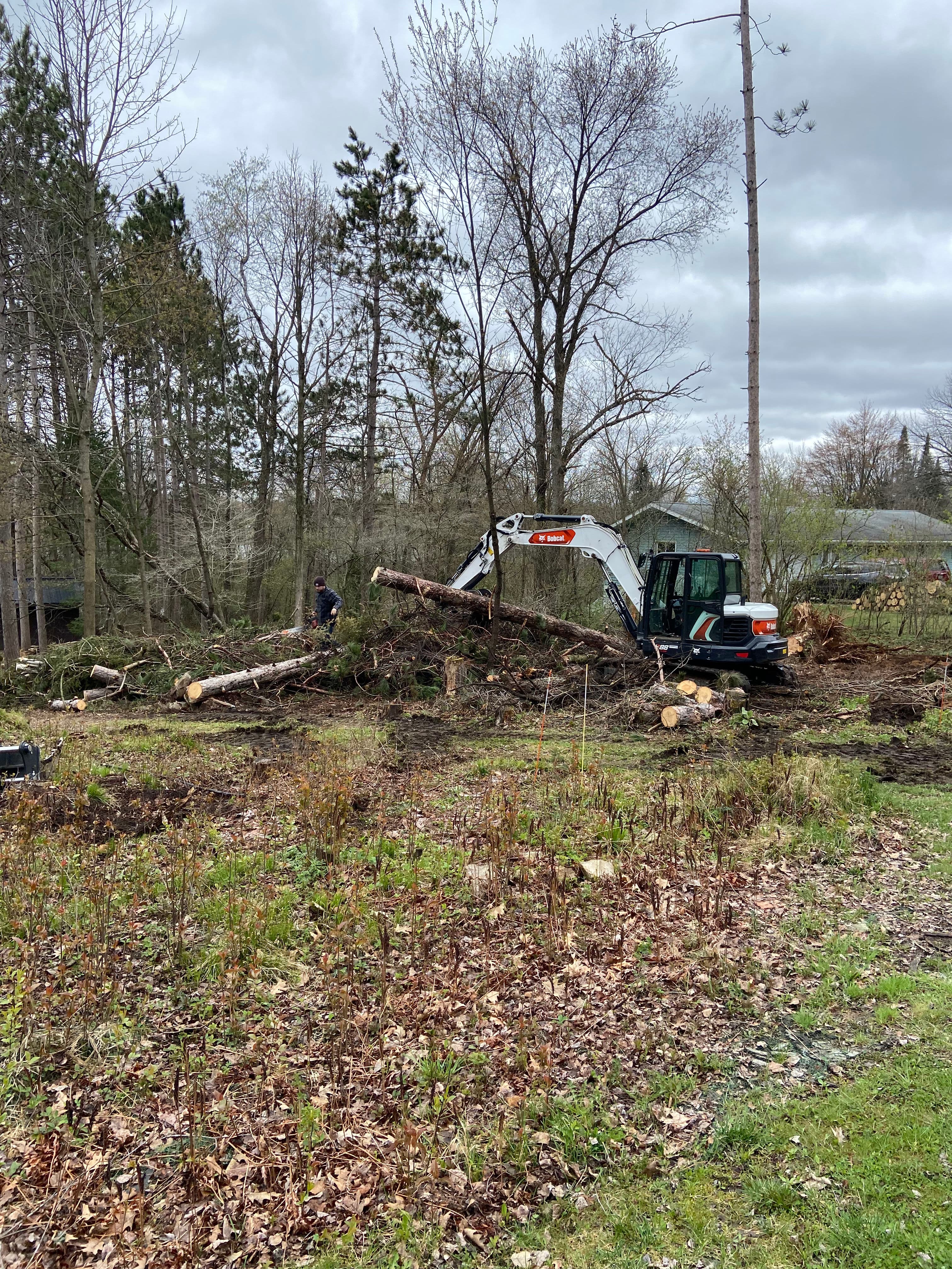 Project Storm Damage Cleanup and Land Clearing Near Ringle image