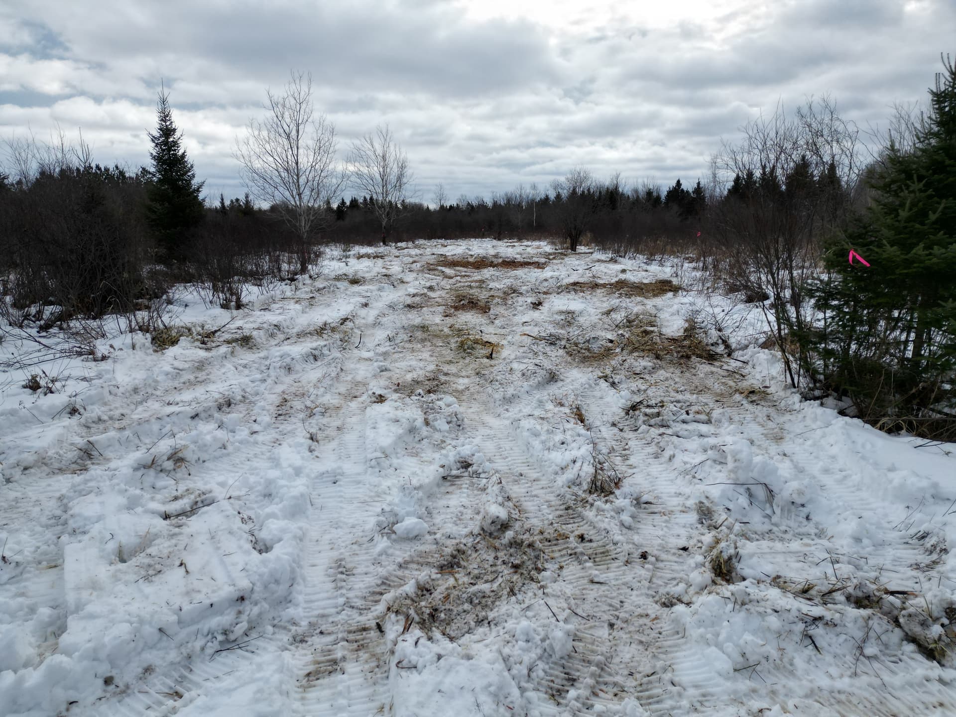Creating Clear Shooting Lanes in Hewitt