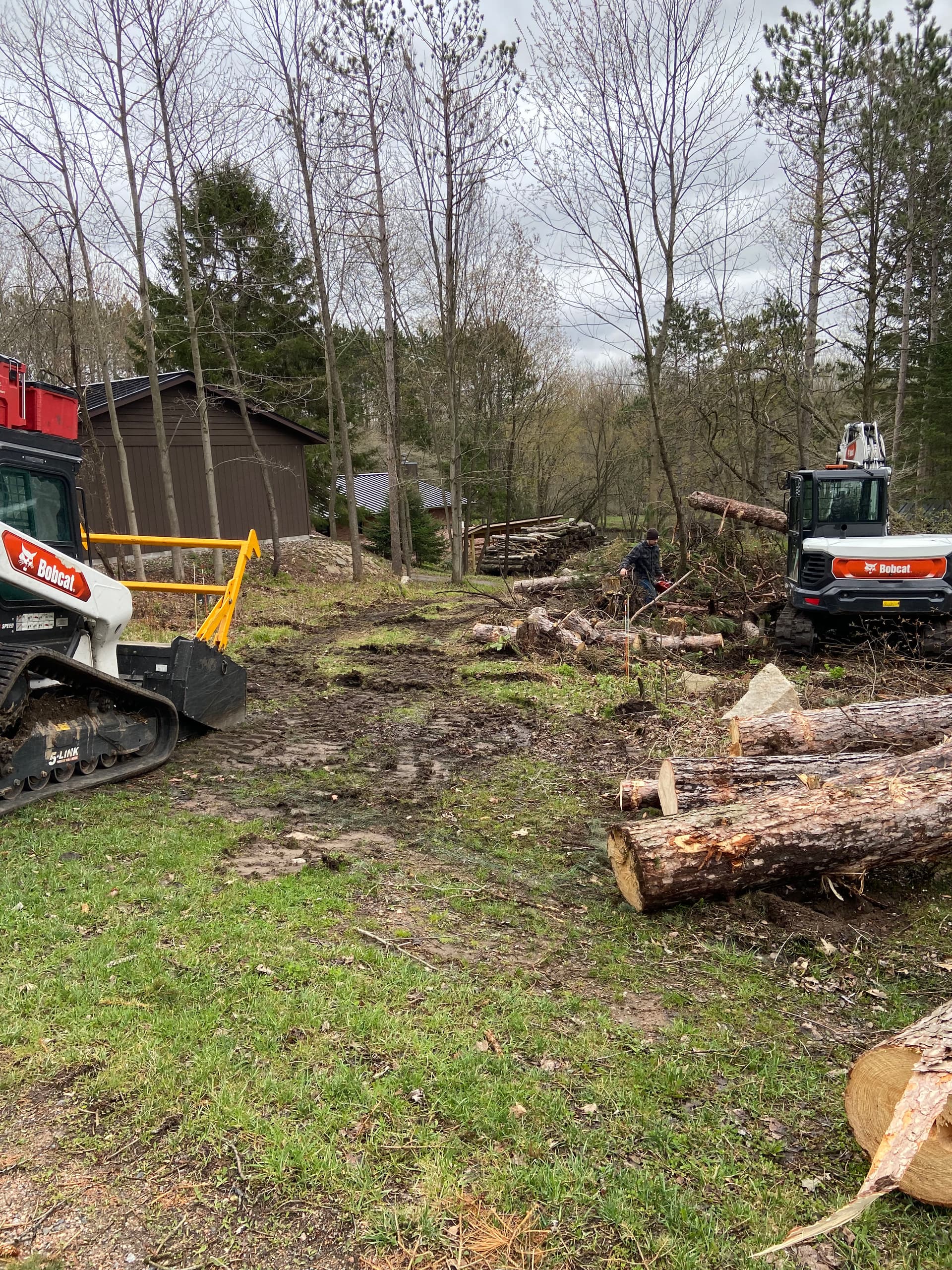 Gallery photos for Storm Damage Cleanup and Land Clearing Near Ringle: Image #4