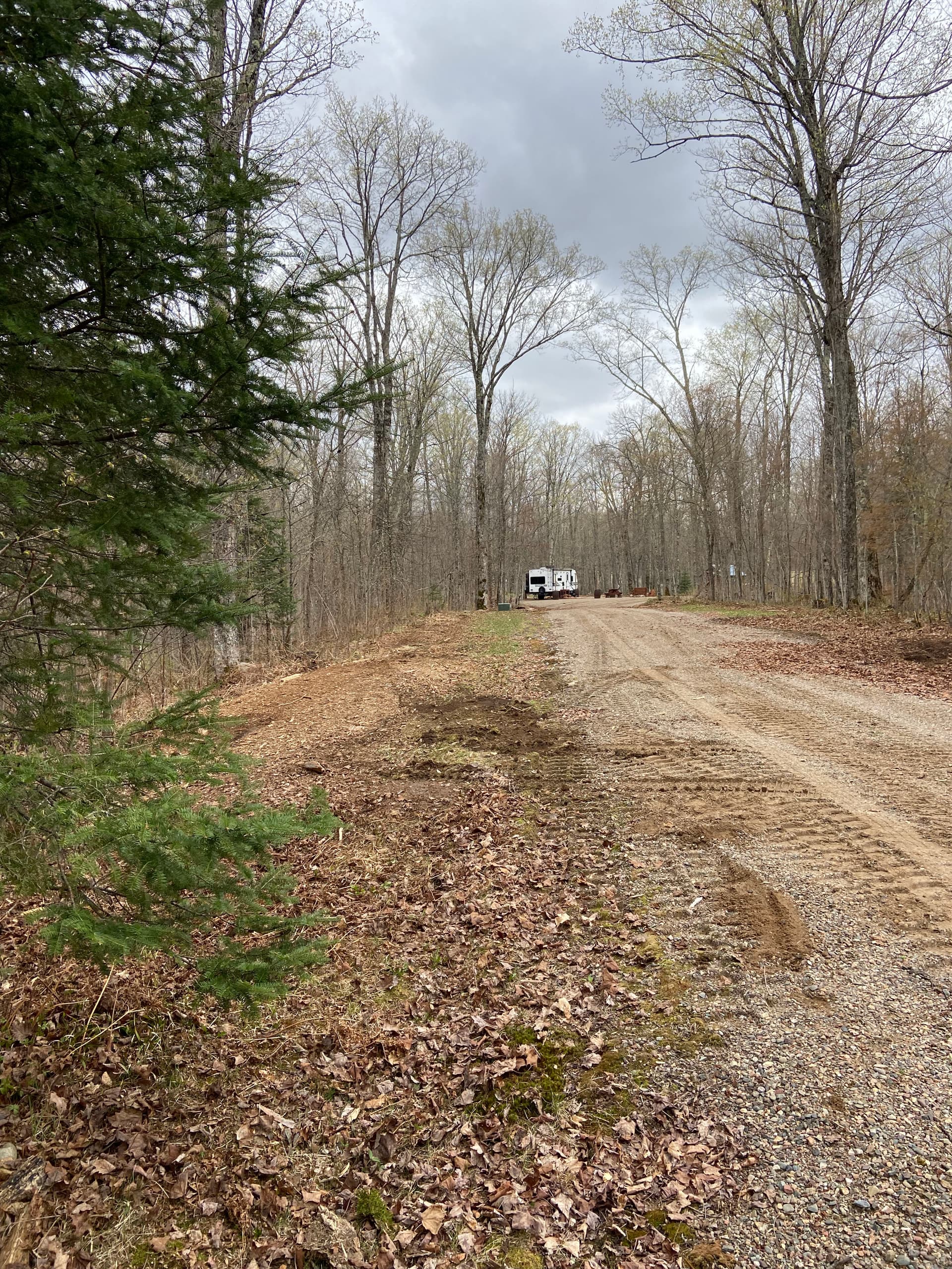 Gallery photos for Food Plot and Access Clearing in Gleason: Image #4