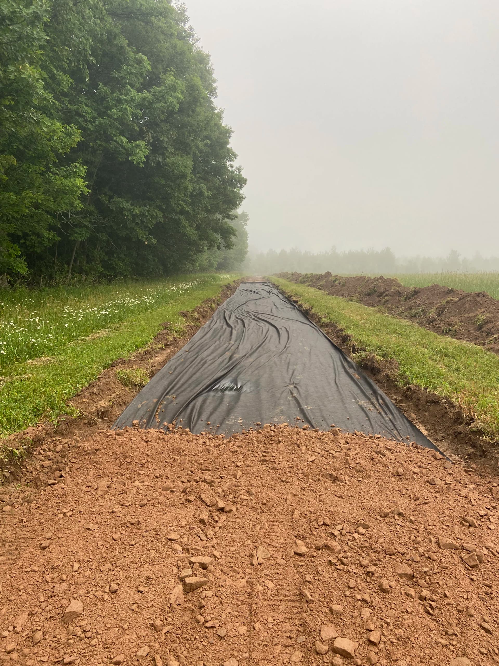 Gallery photos for 1,500-Foot Driveway Build From Raw Land to Gravel: Image #1