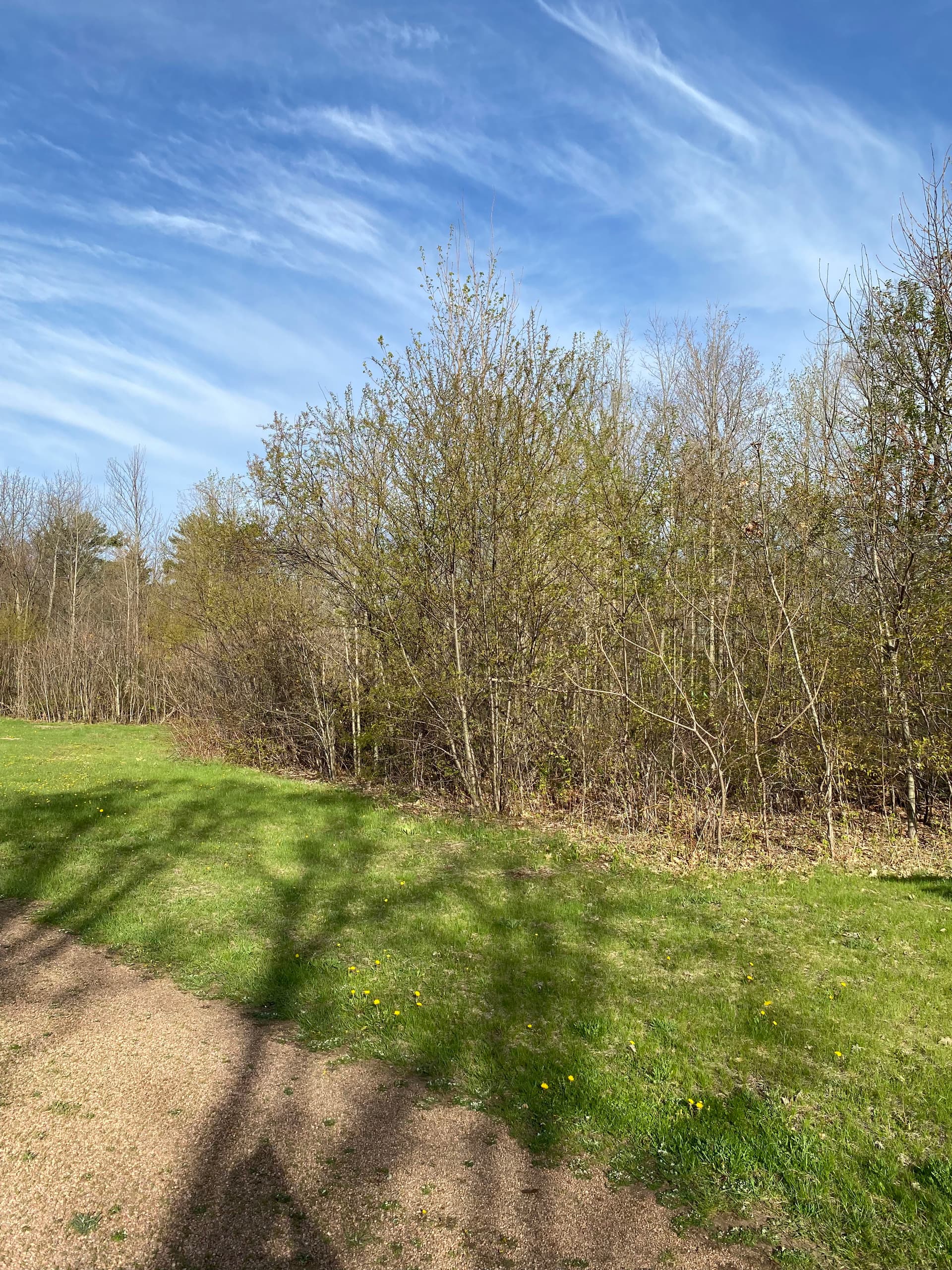 Gallery photos for Land Clearing Opens Up Mosinee Sailboat Yard for Future Development: Image #1