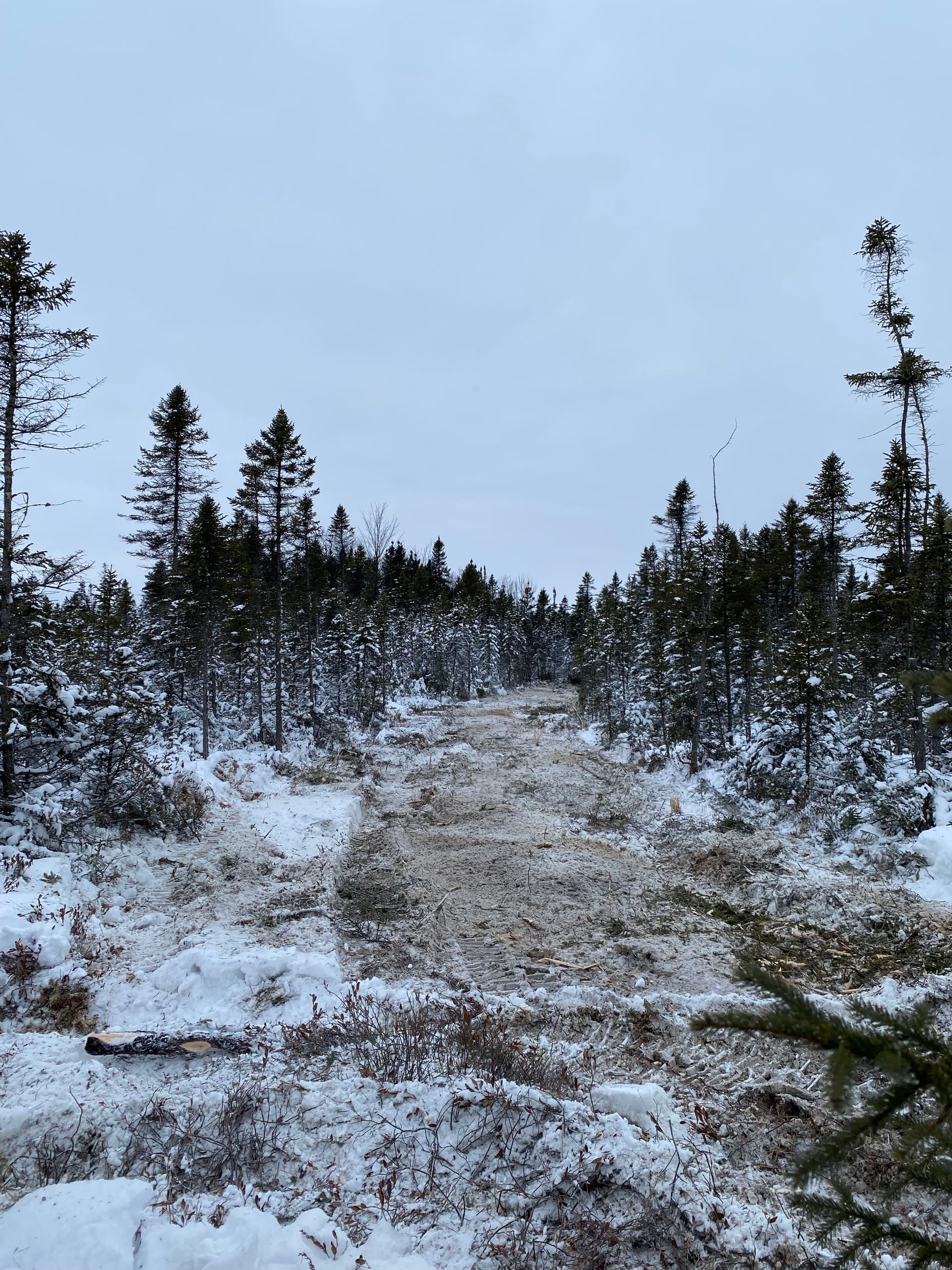 Gallery photos for Hunting Preparations Made Easy in Hatley: Image #5