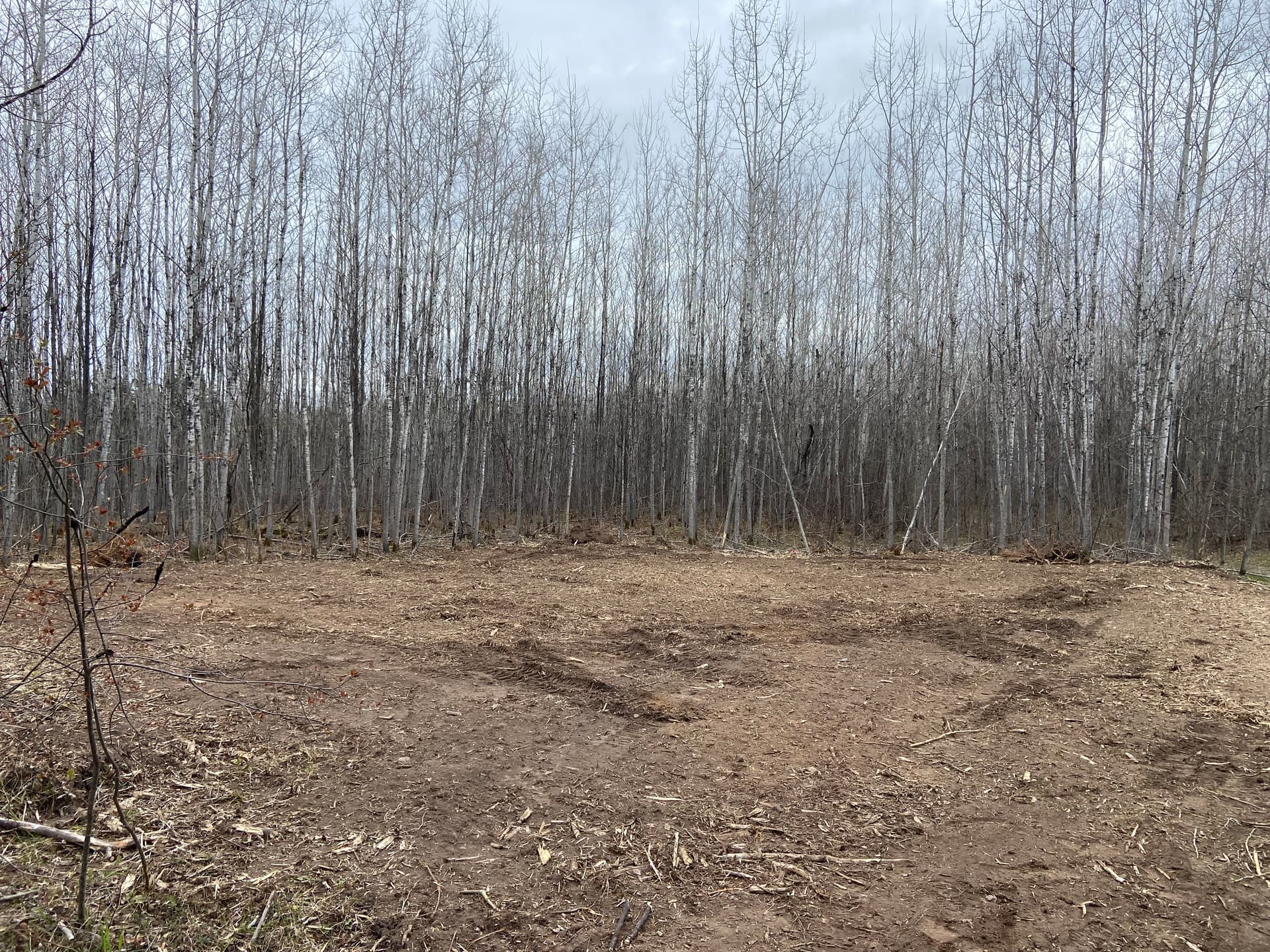 Gallery photos for Driveway Widening and Cabin Site Clearing Done Right: Image #4