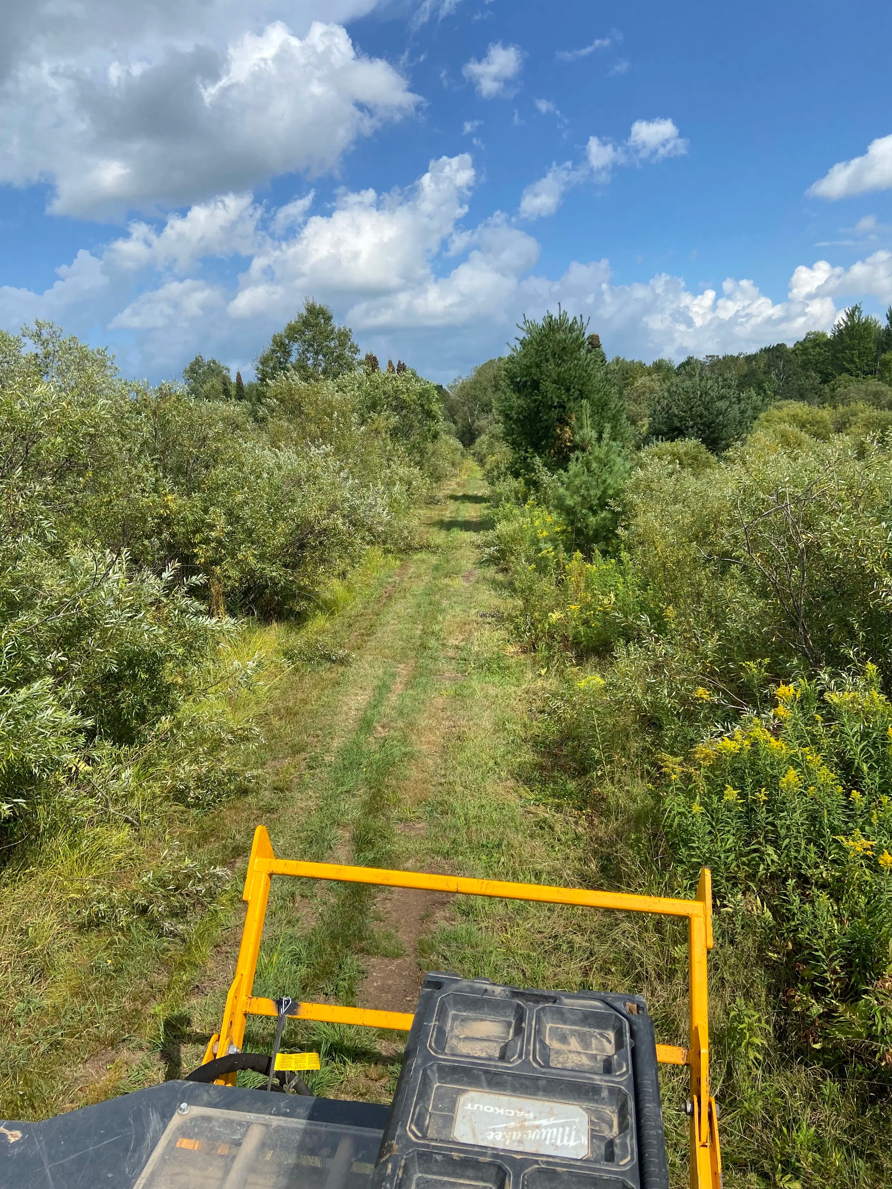 Project Road Cleanup, Culvert Install, and Site Work Done Right image