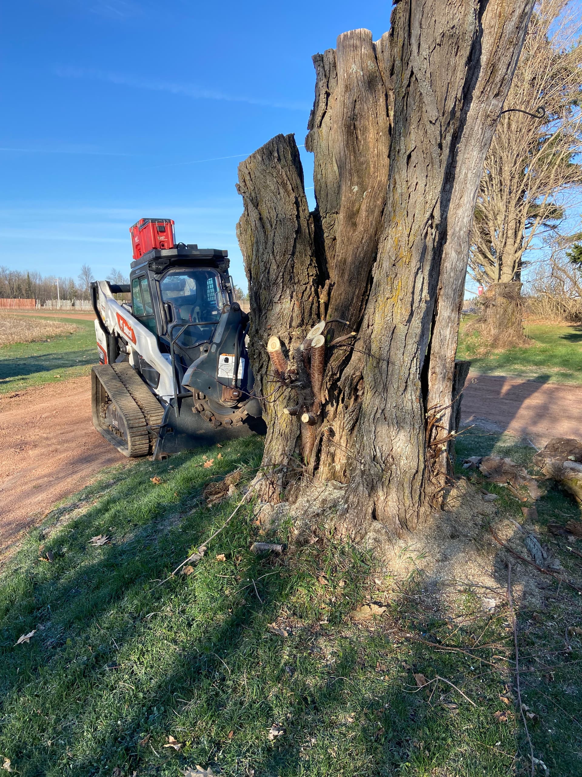 Gallery photos for No Stump Too Big - We Grind It or Rip It Out: Image #1