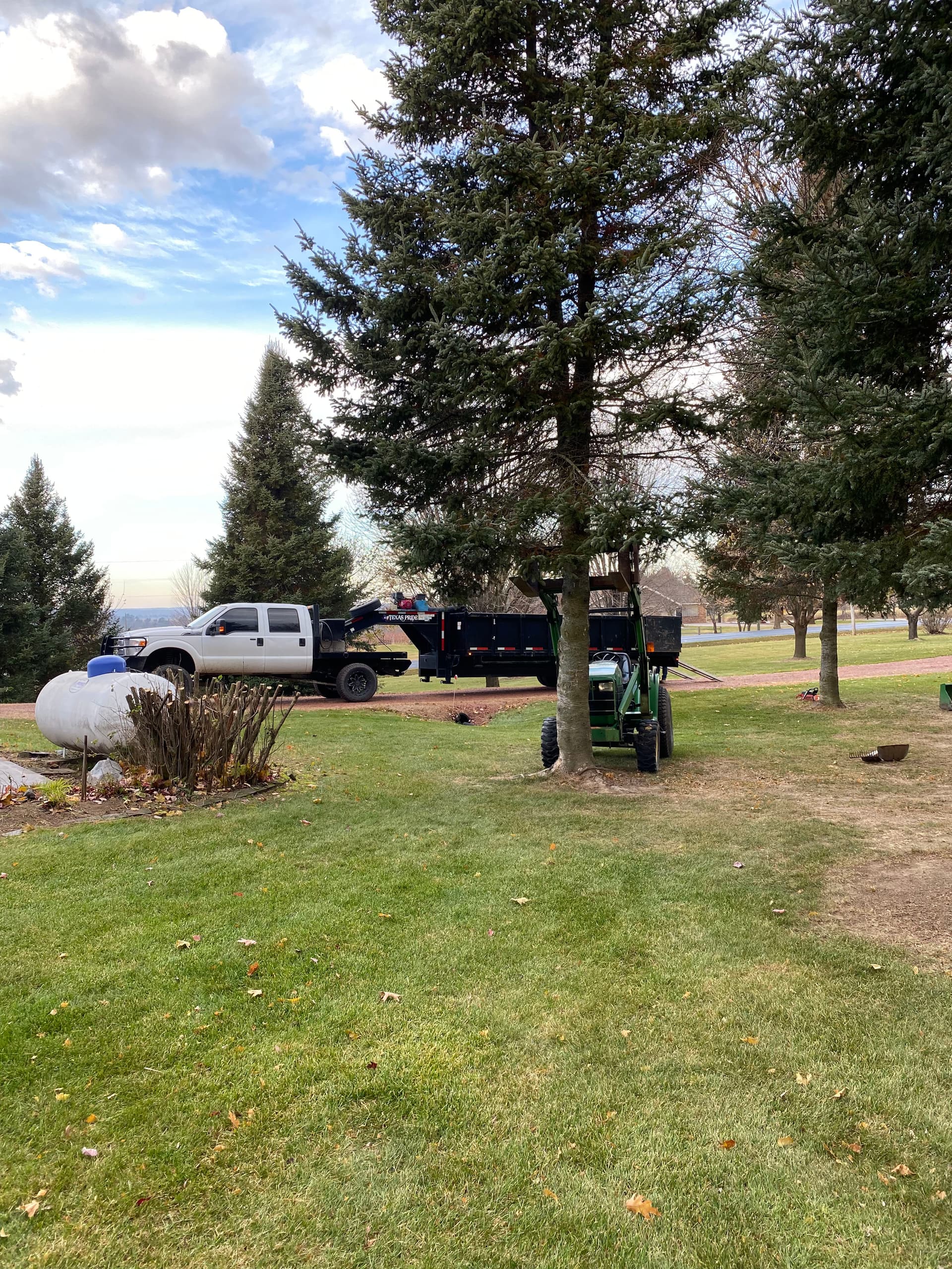 Efficient Tree and Stump Removal in Your Neighborhood image