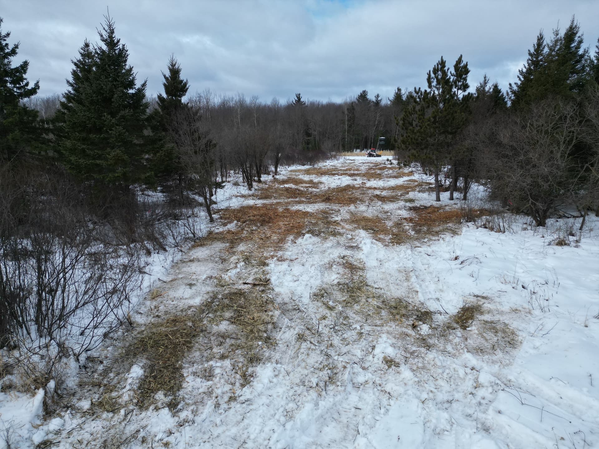 Creating Clear Shooting Lanes in Hewitt