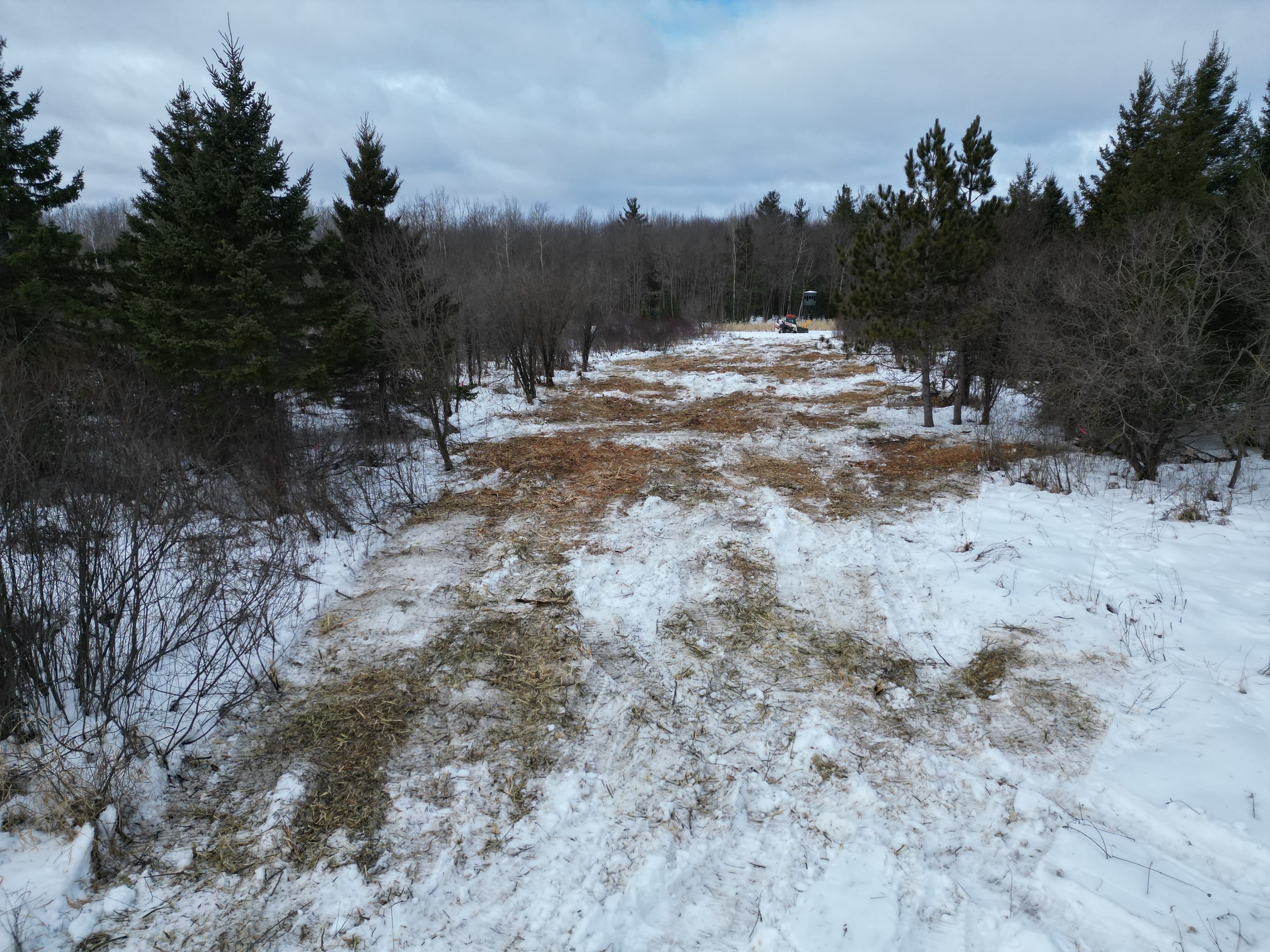 Project Creating Clear Shooting Lanes in Hewitt image