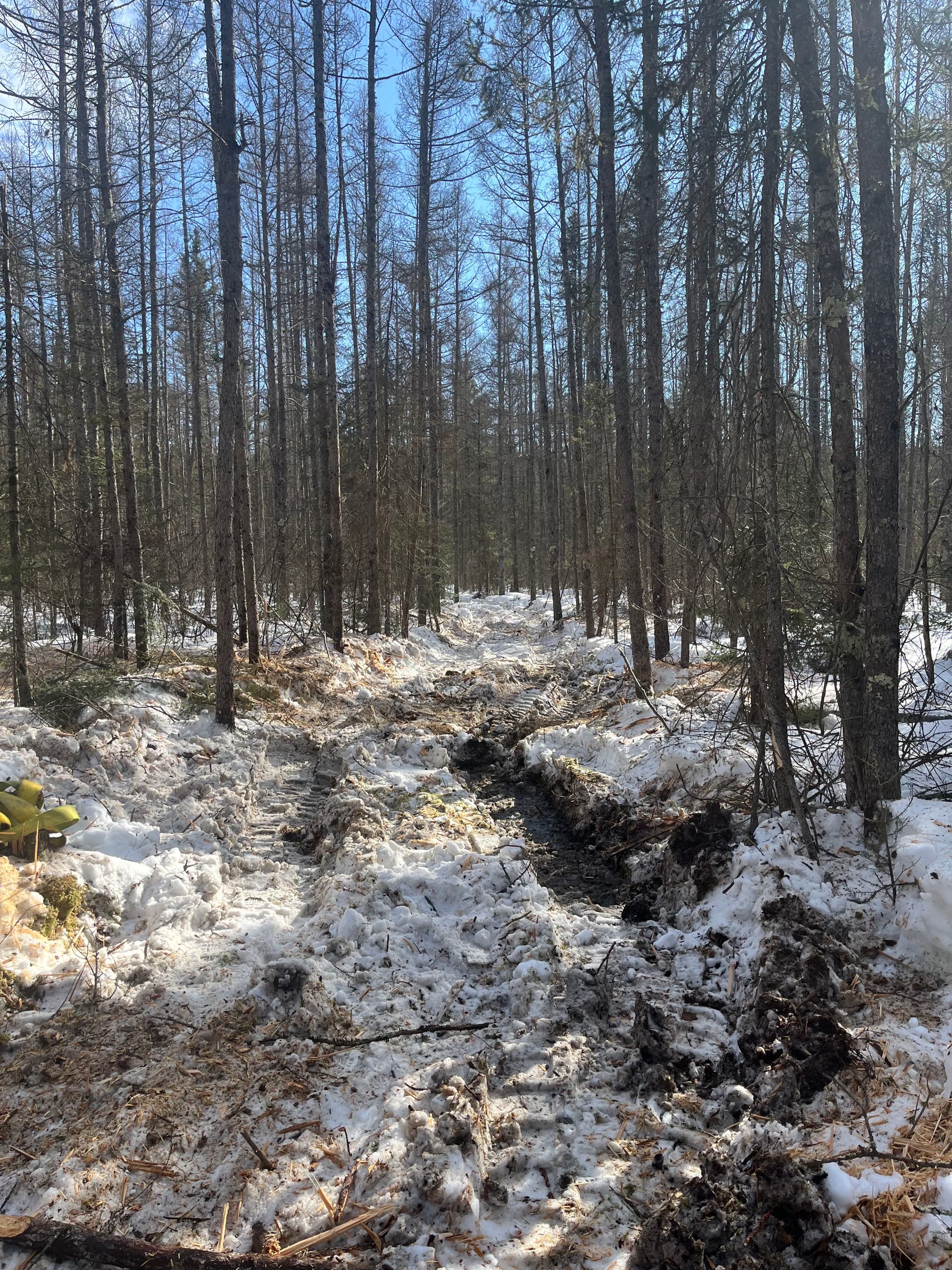 Gallery photos for Efficient Winter Land Clearing with Our Bobcat: Image #2